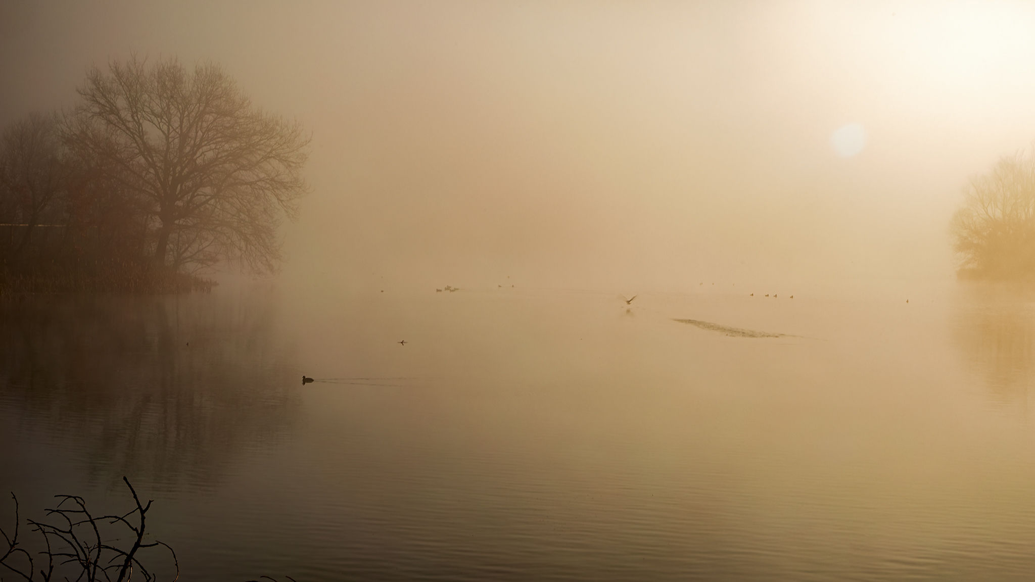 Il giorno come sempre sarà