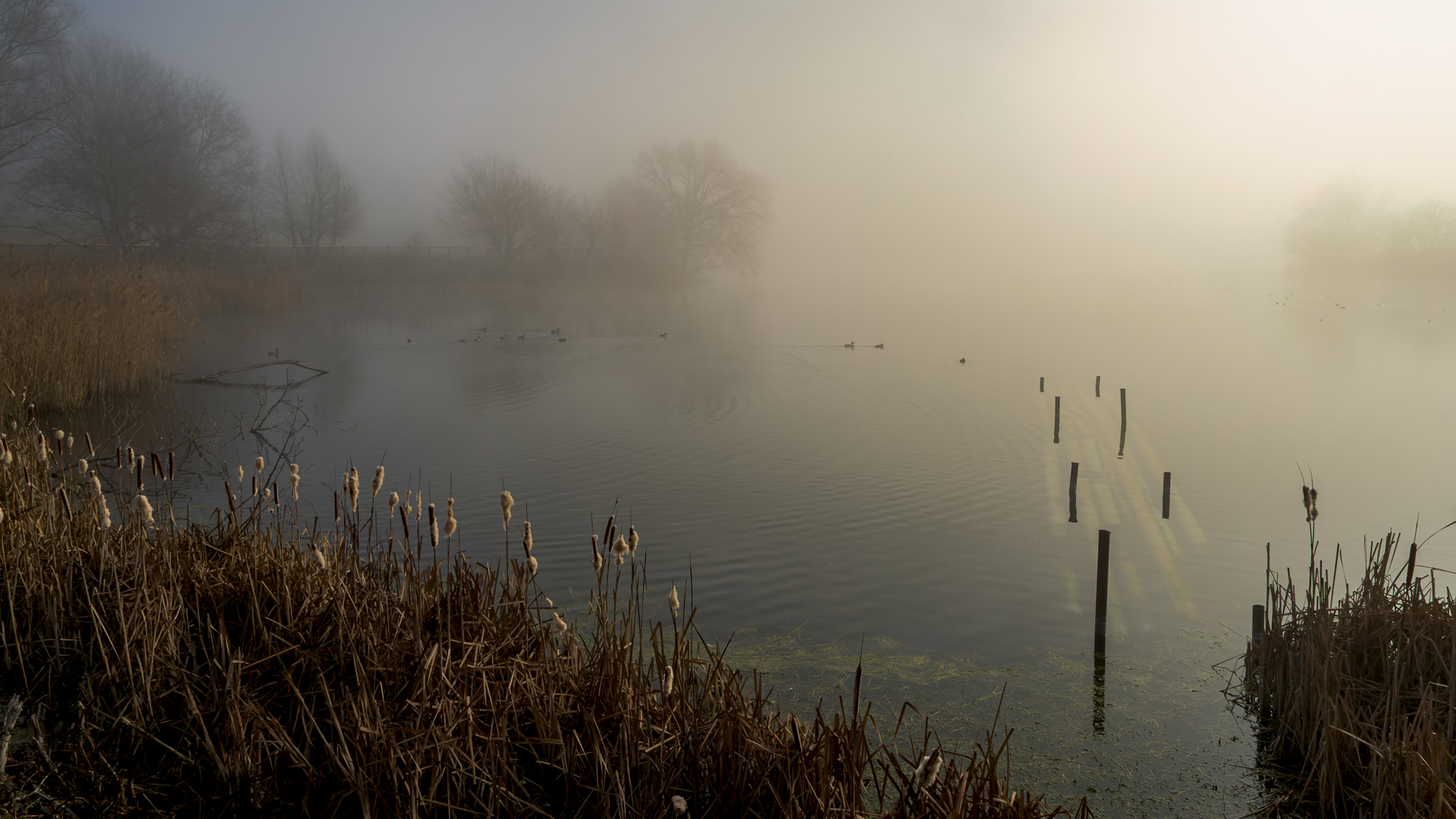 Lago di Capodacqua (AQ)