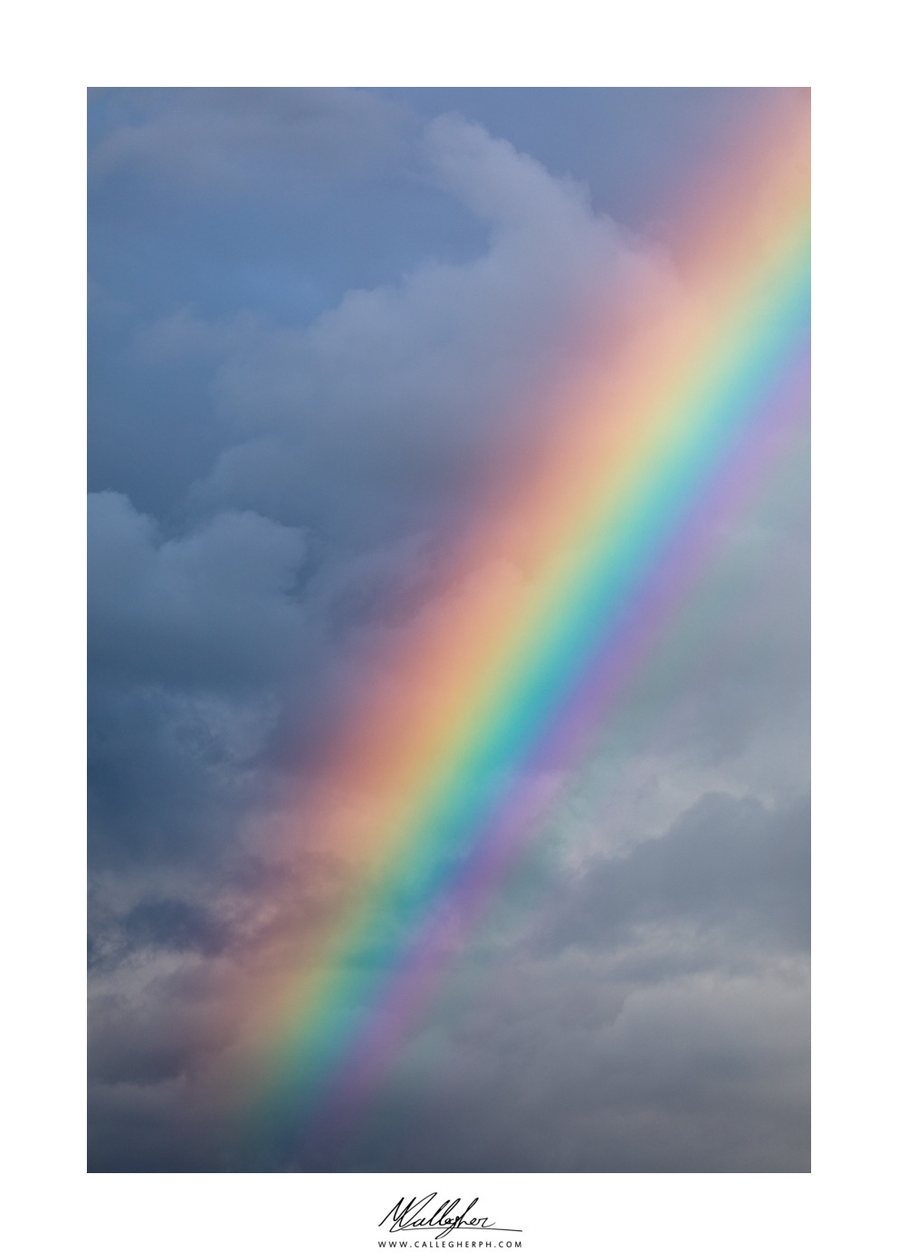 Colors