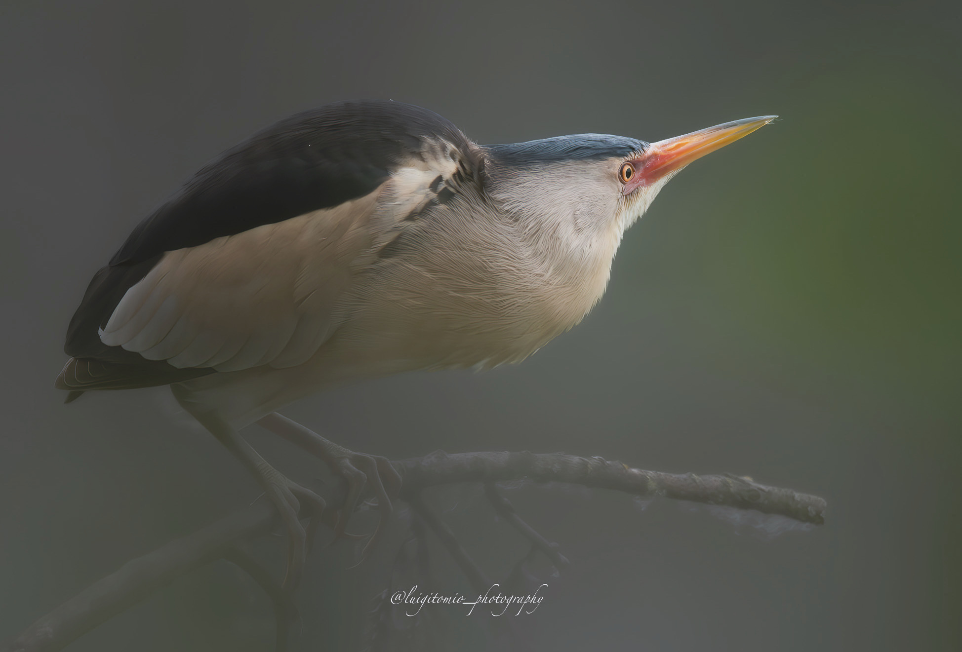 L'alba del Tarabusino.