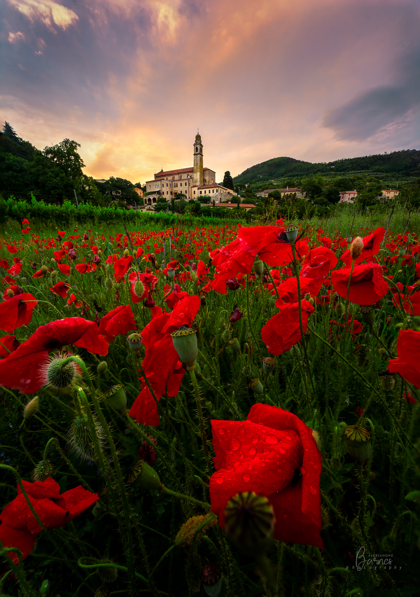 After the storm - Arquà Petrarca Euganean Hills