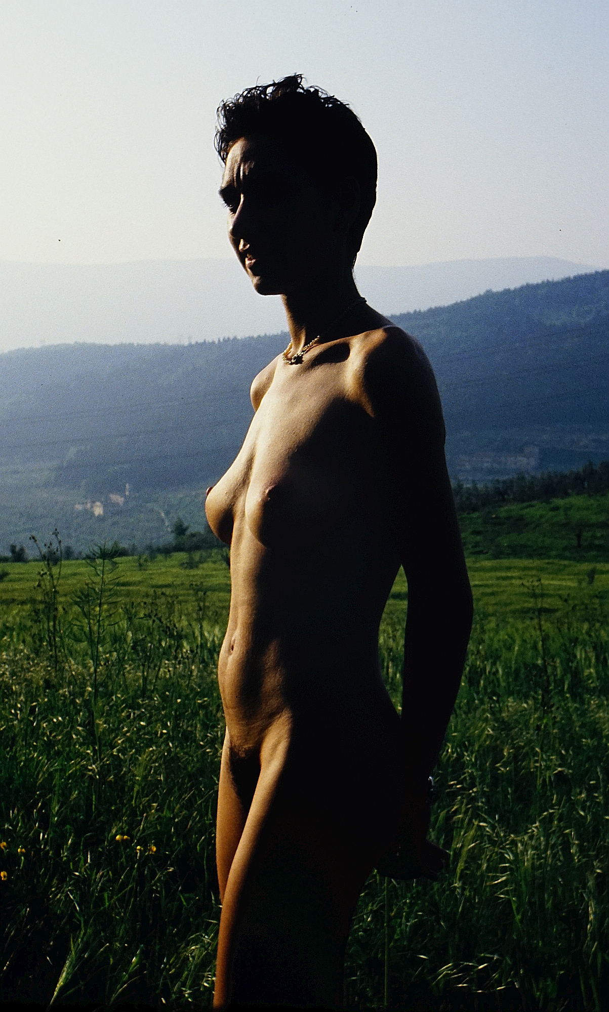 ... meadow