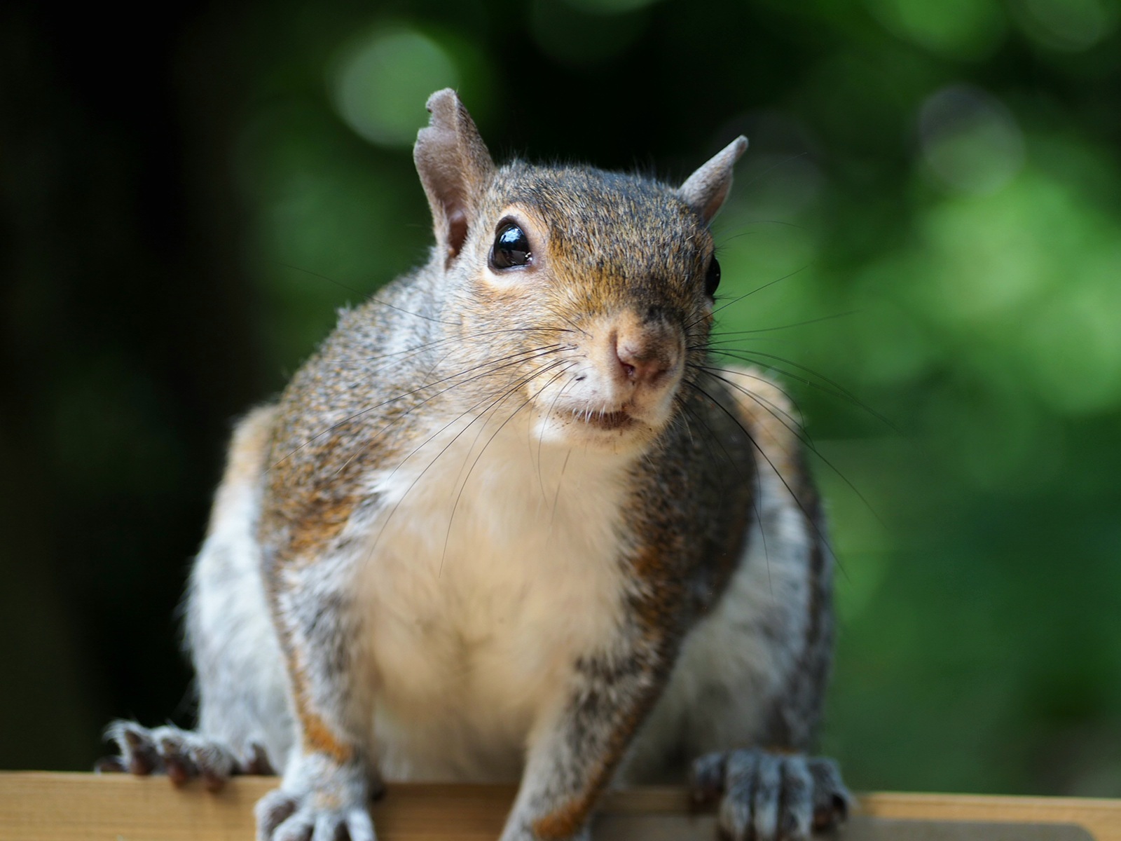 Meetings at the park