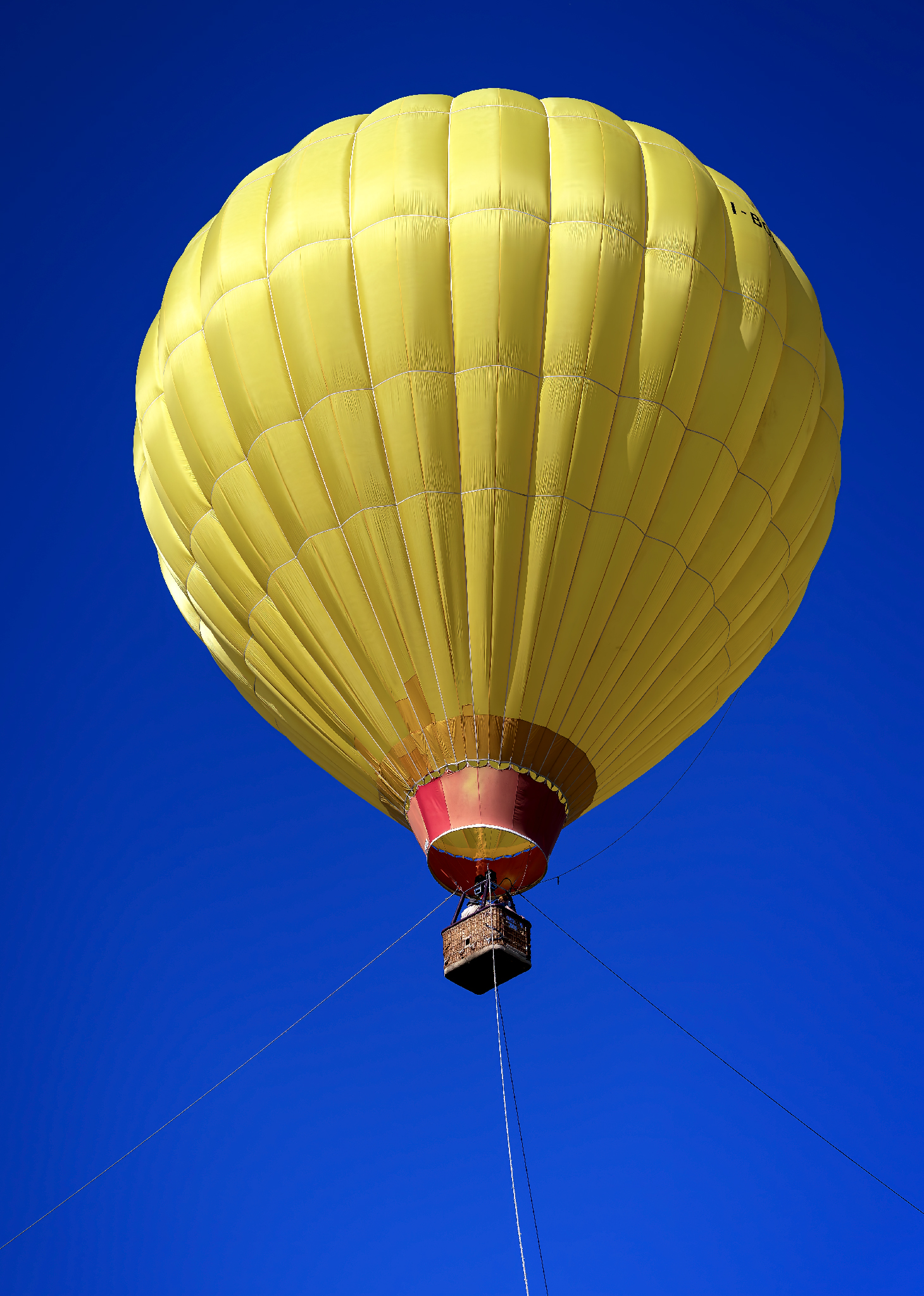 Mongolfiera (con bruciatore in funzione)