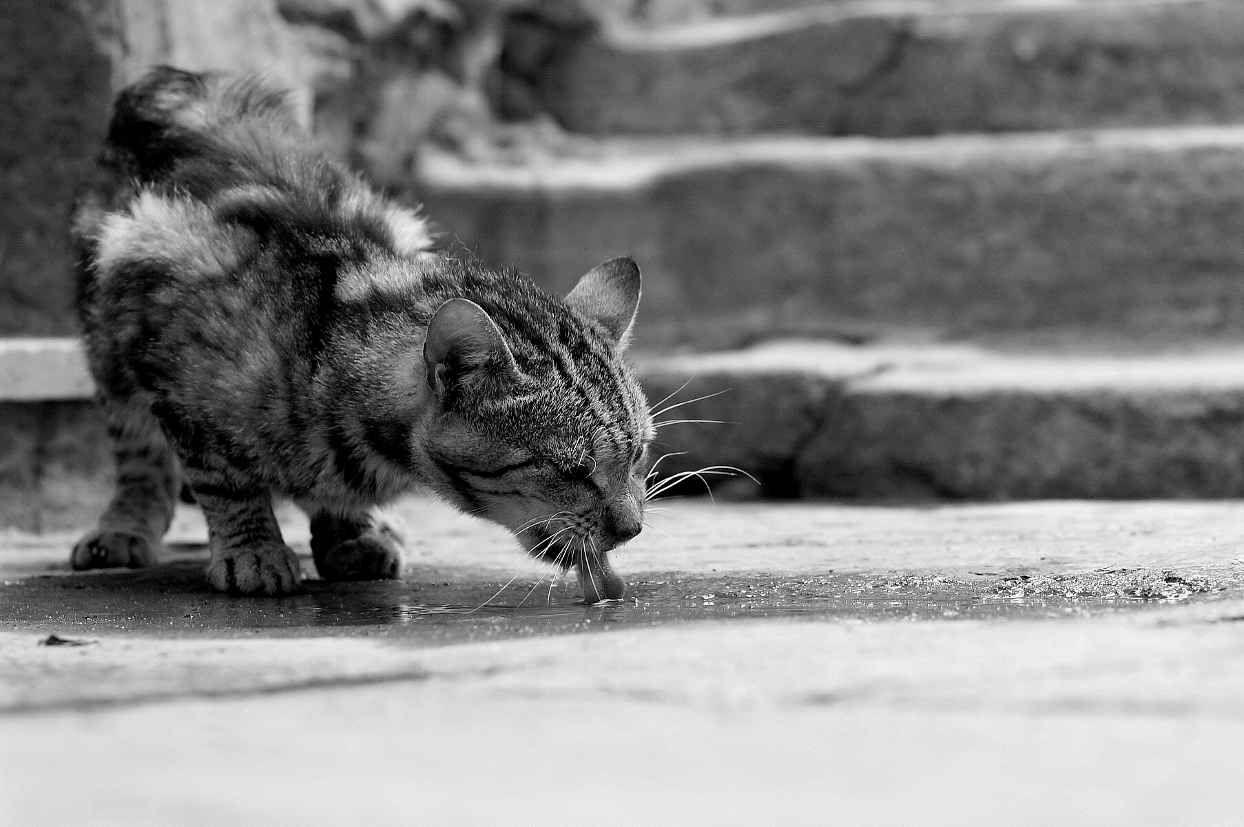 Libero come l'acqua!