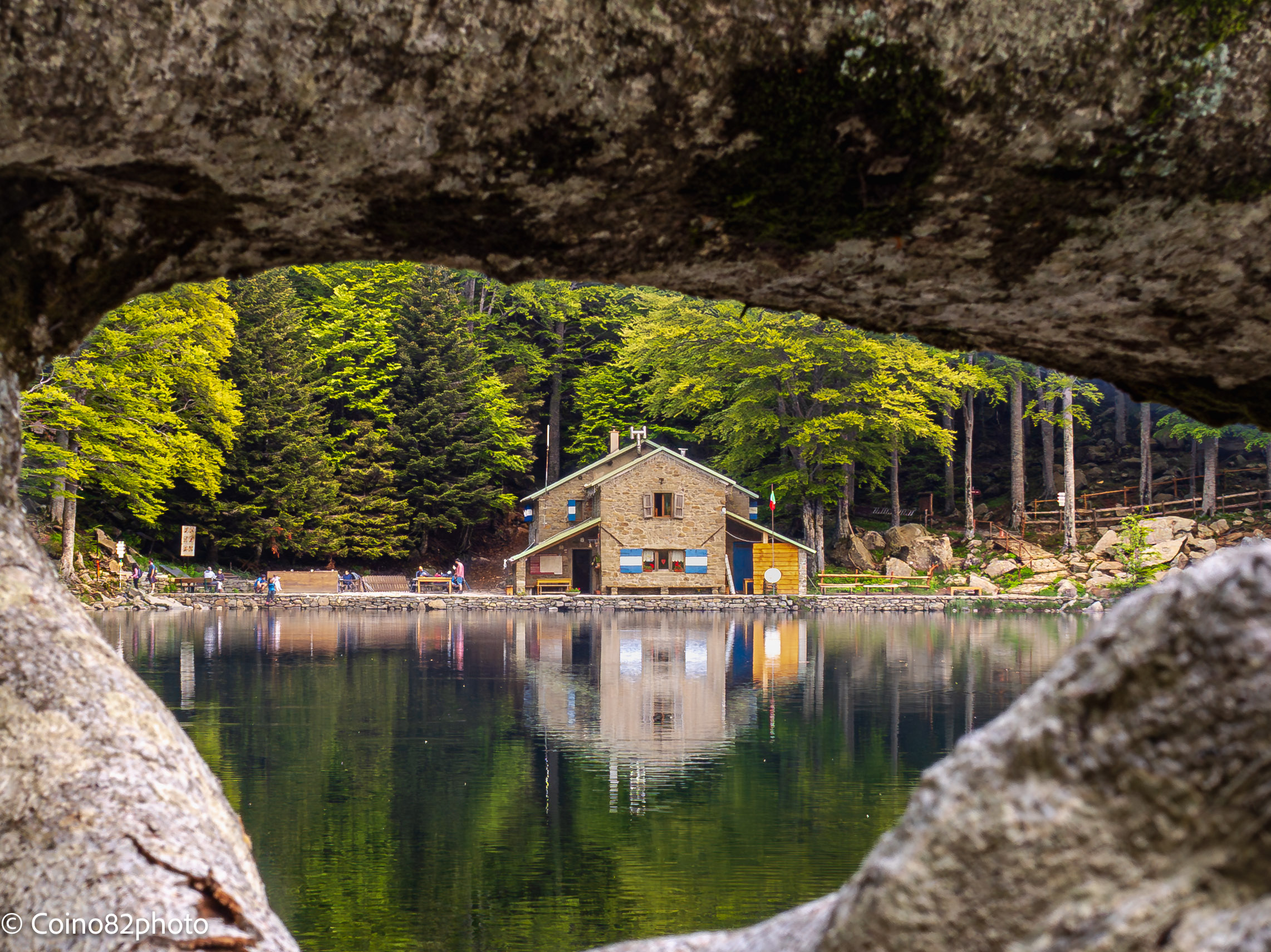 Shelter framed branch