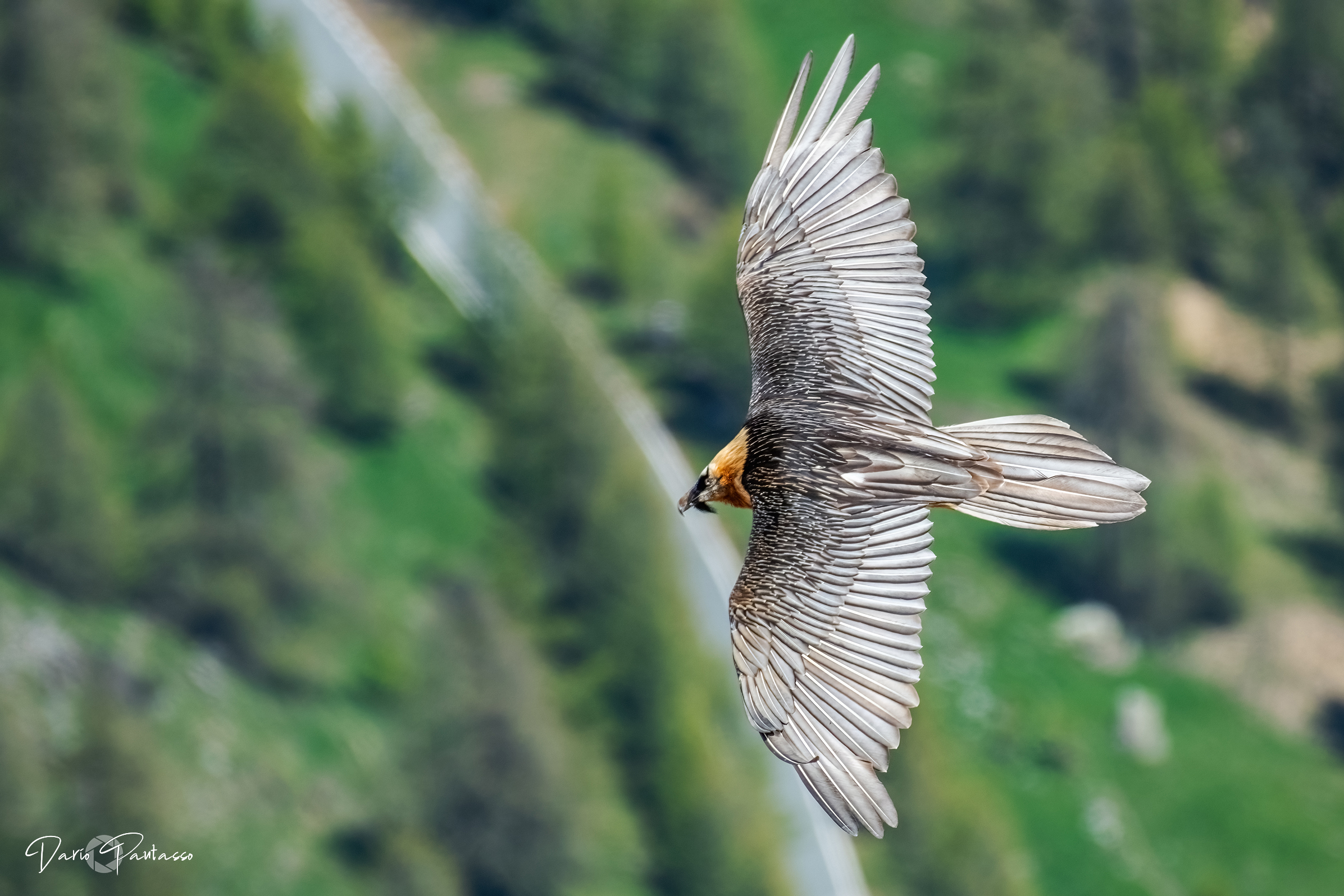 Veleggiare sulla valle