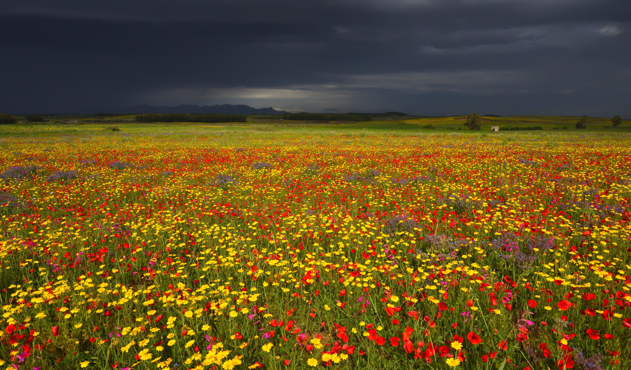 Arriva la tempesta ...