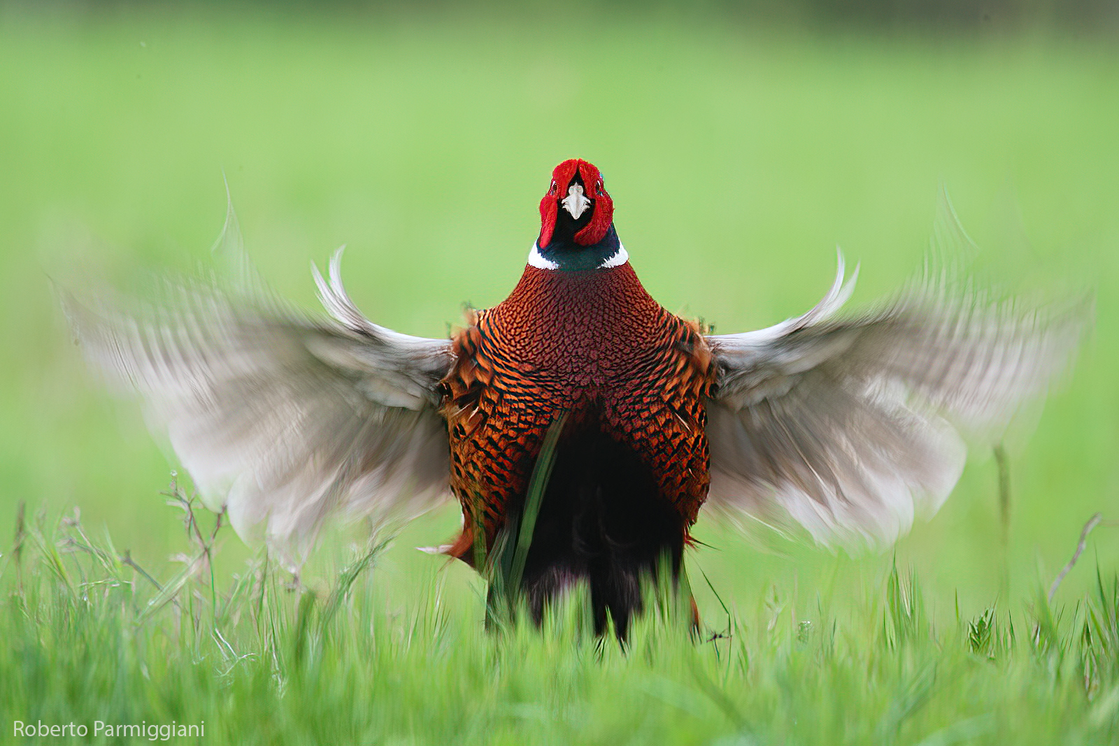 Esperimenti con tempi lenti