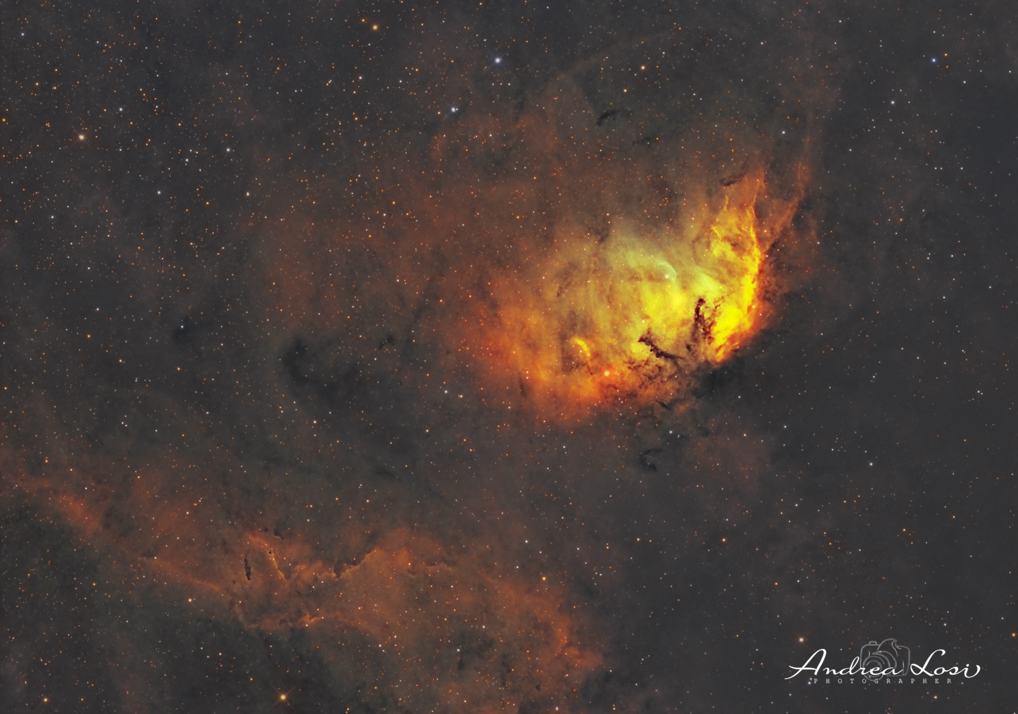 Nebulosa Tulipano