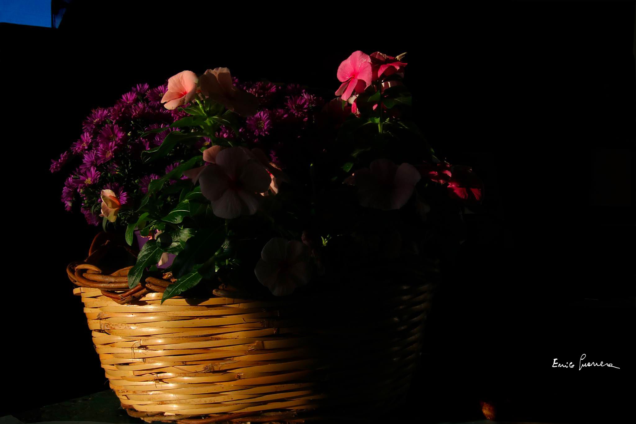 Basket with flowers