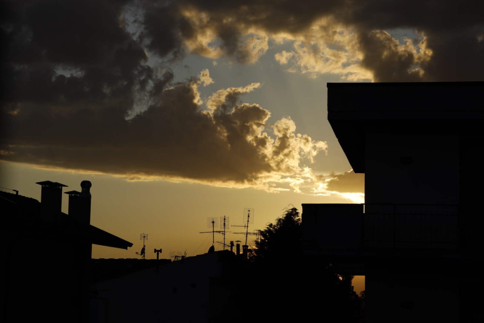 Untitled Photo