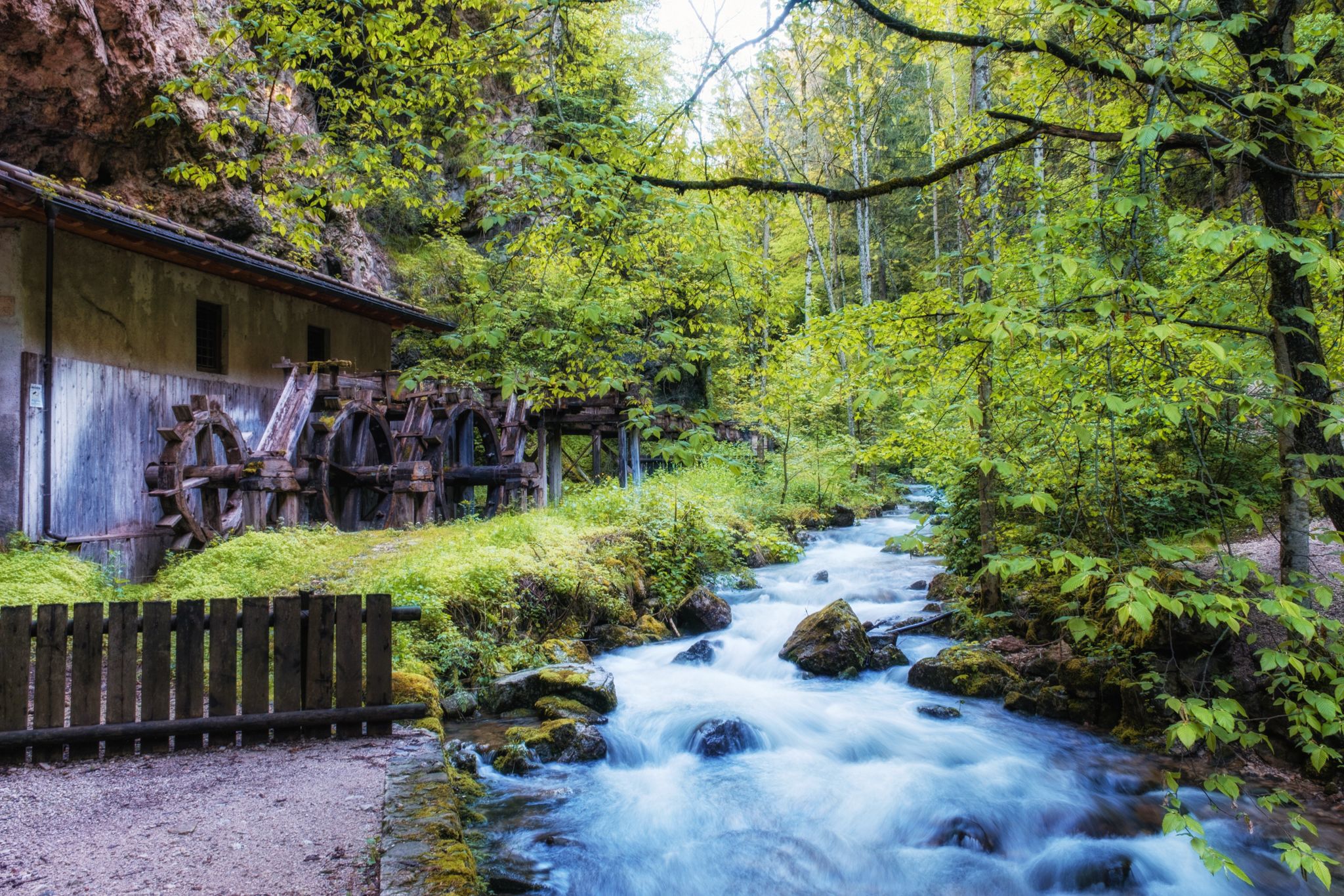 The mill in the woods