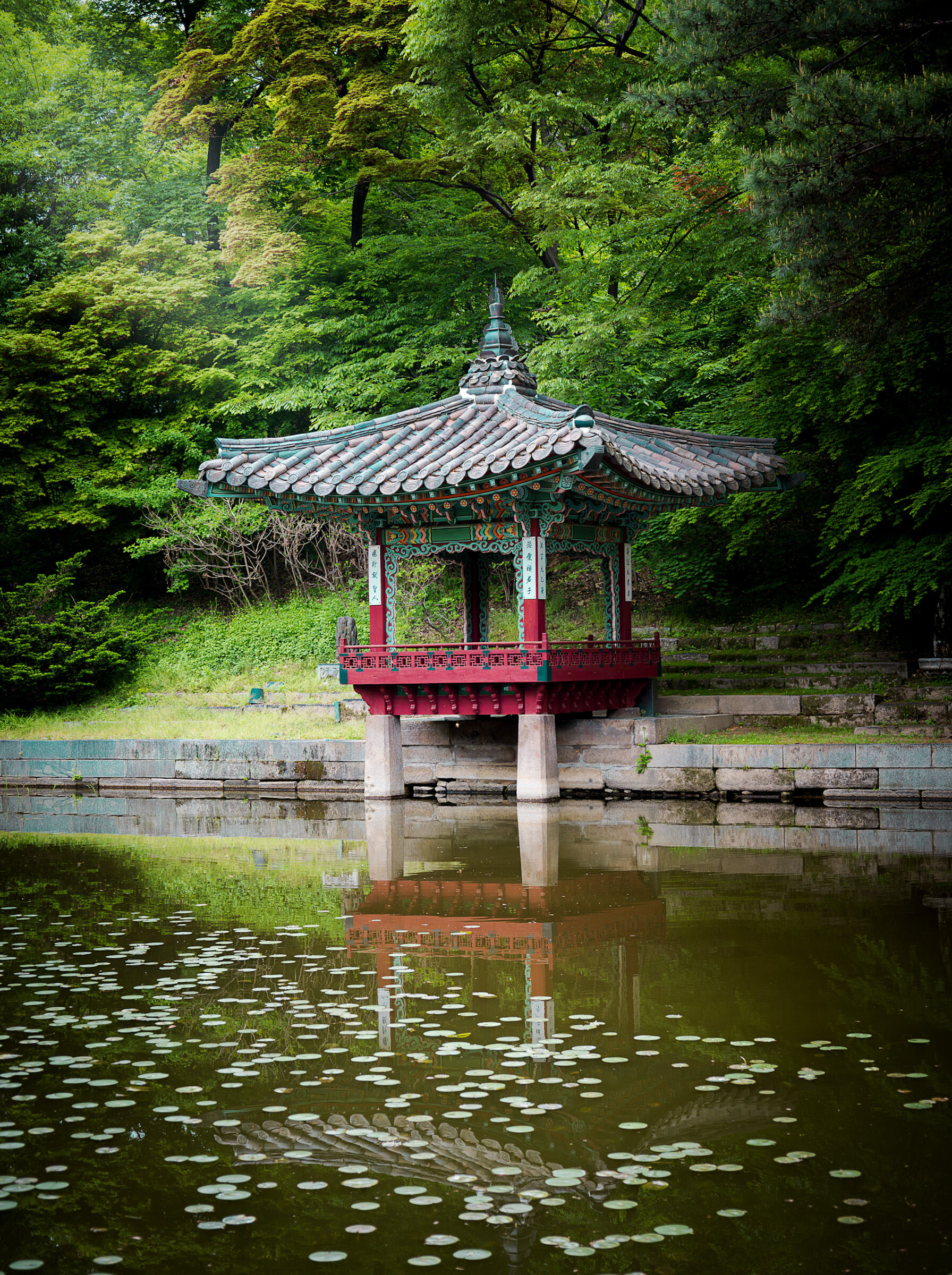 Secret garden