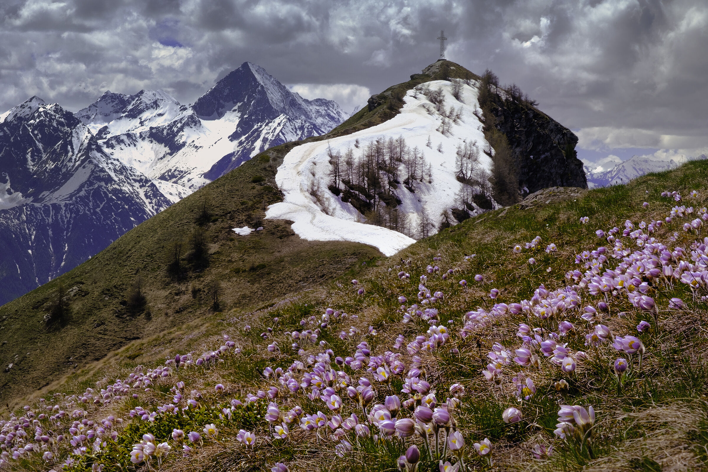Tra disgelo e fioritura