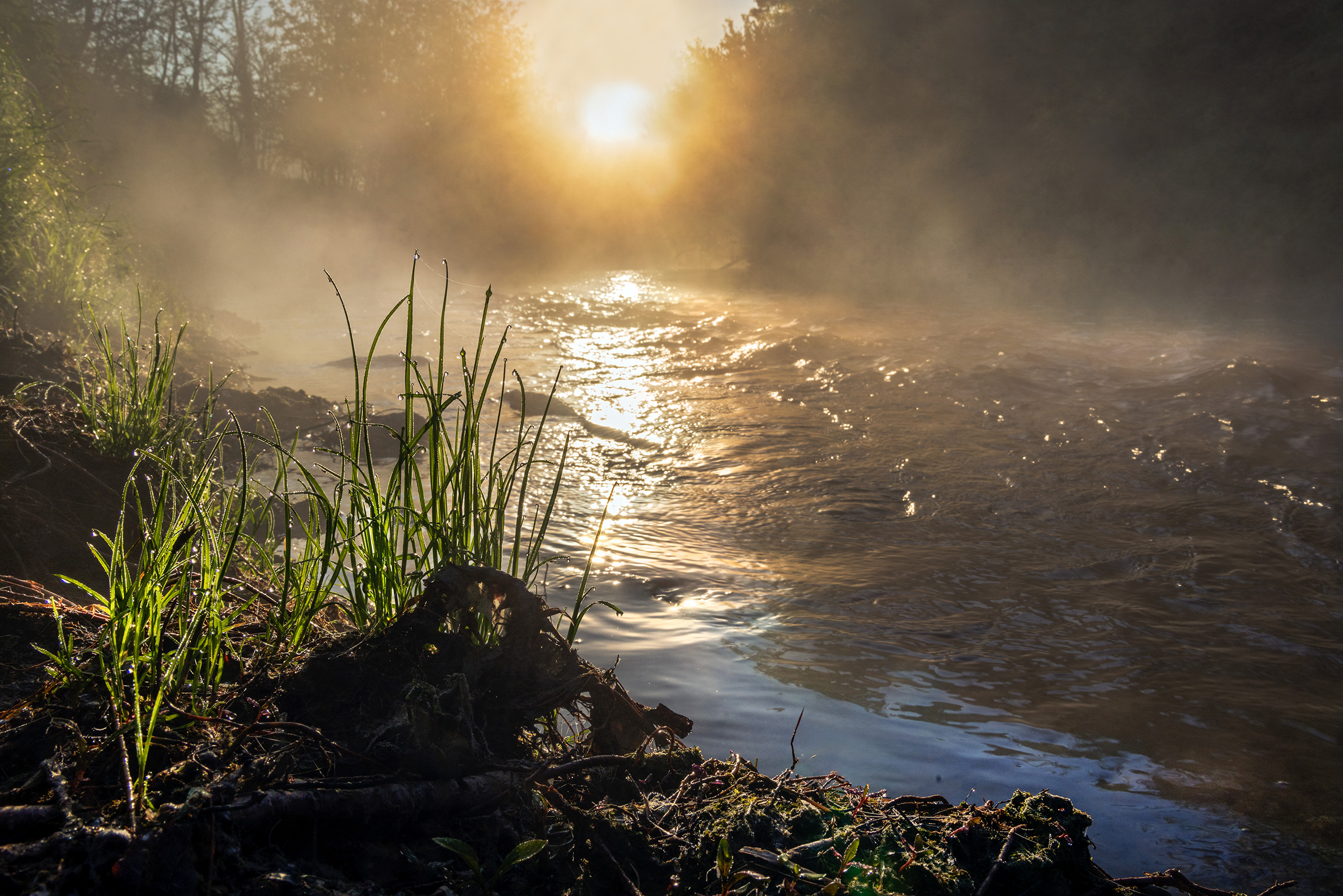 Sunrise over the river