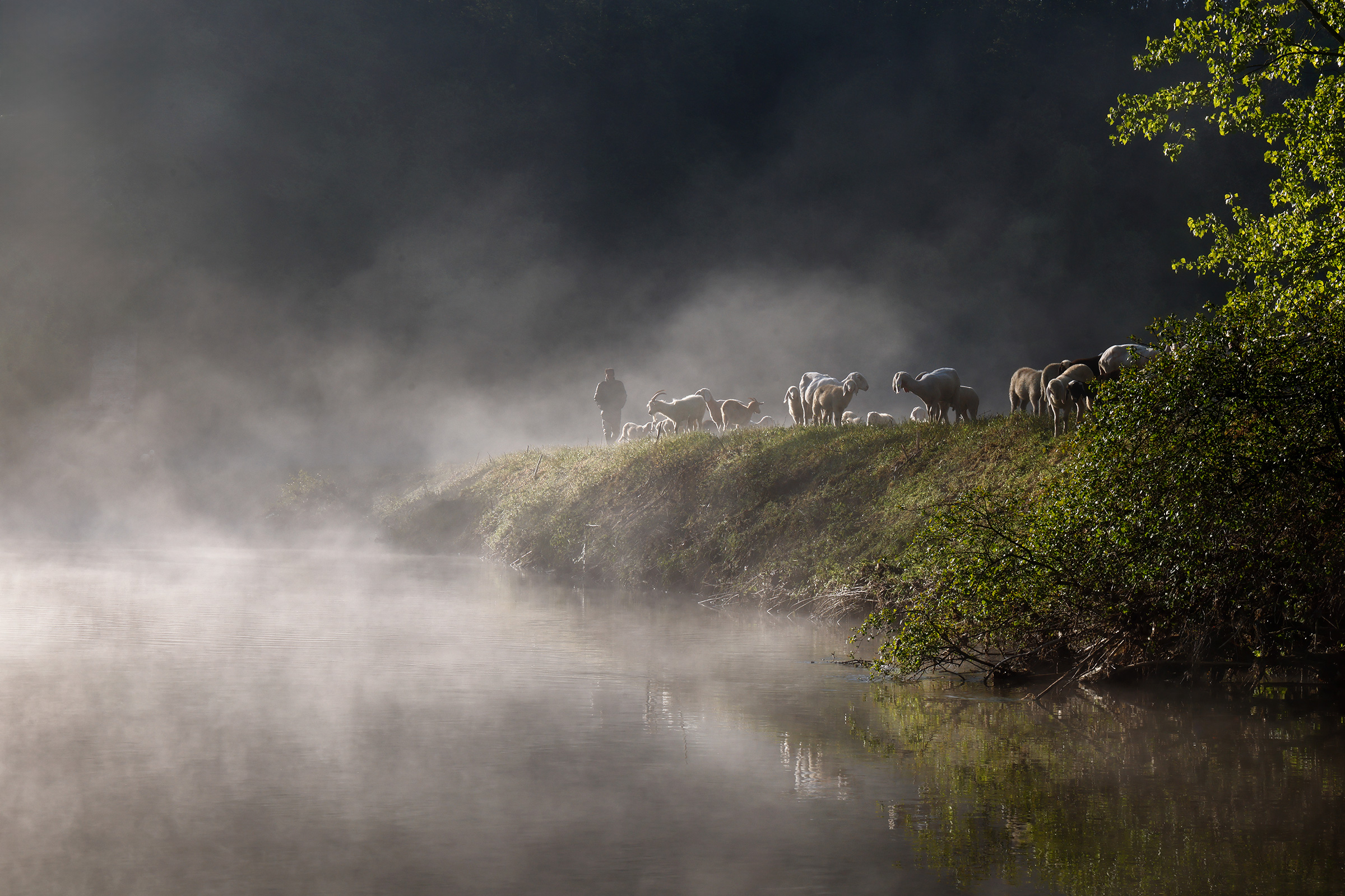 Along the river