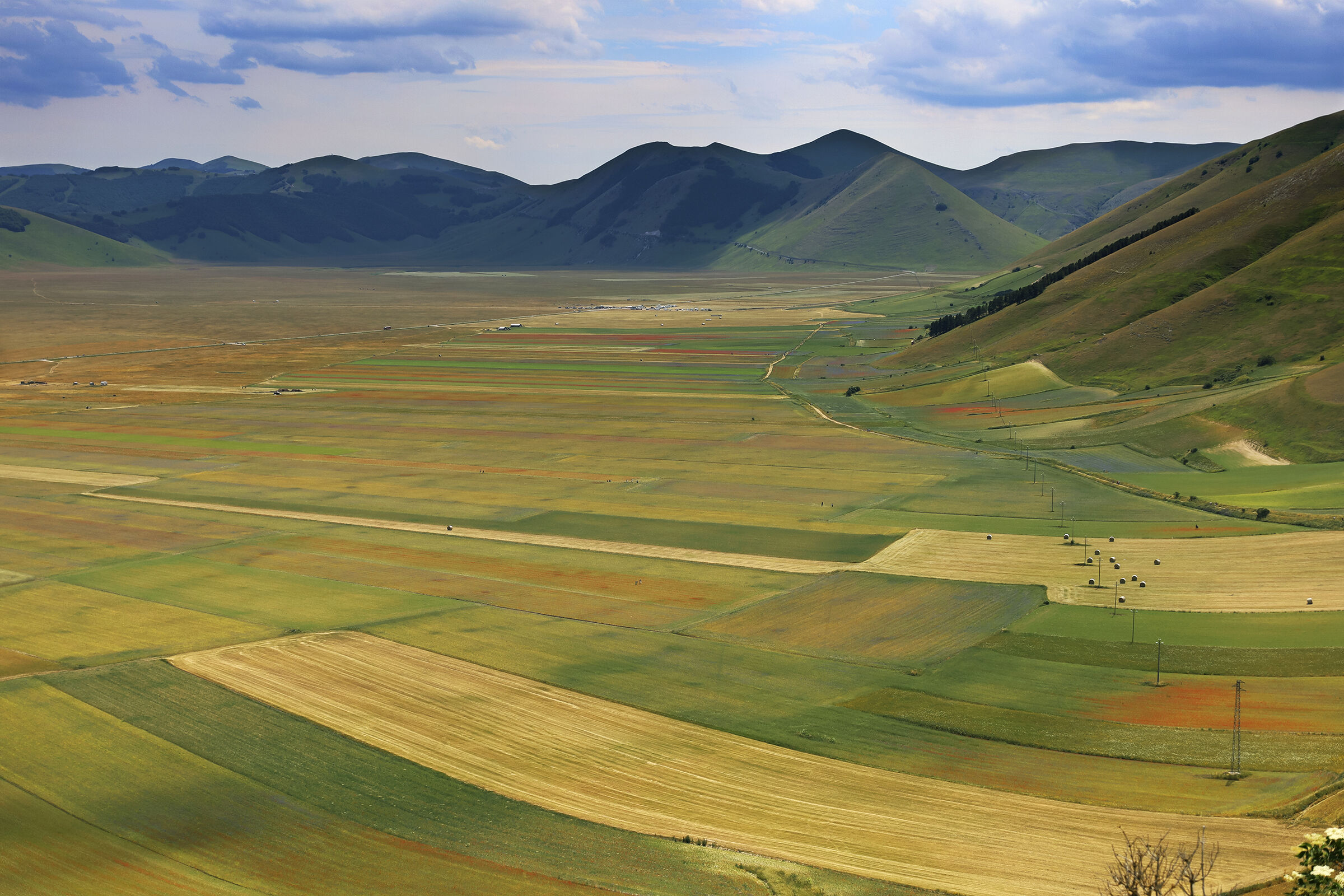 When will the appointment take place this year?