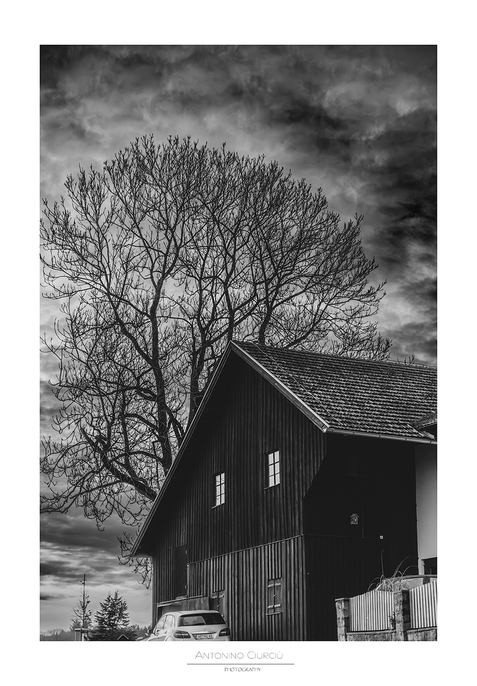 Cloud Leaves