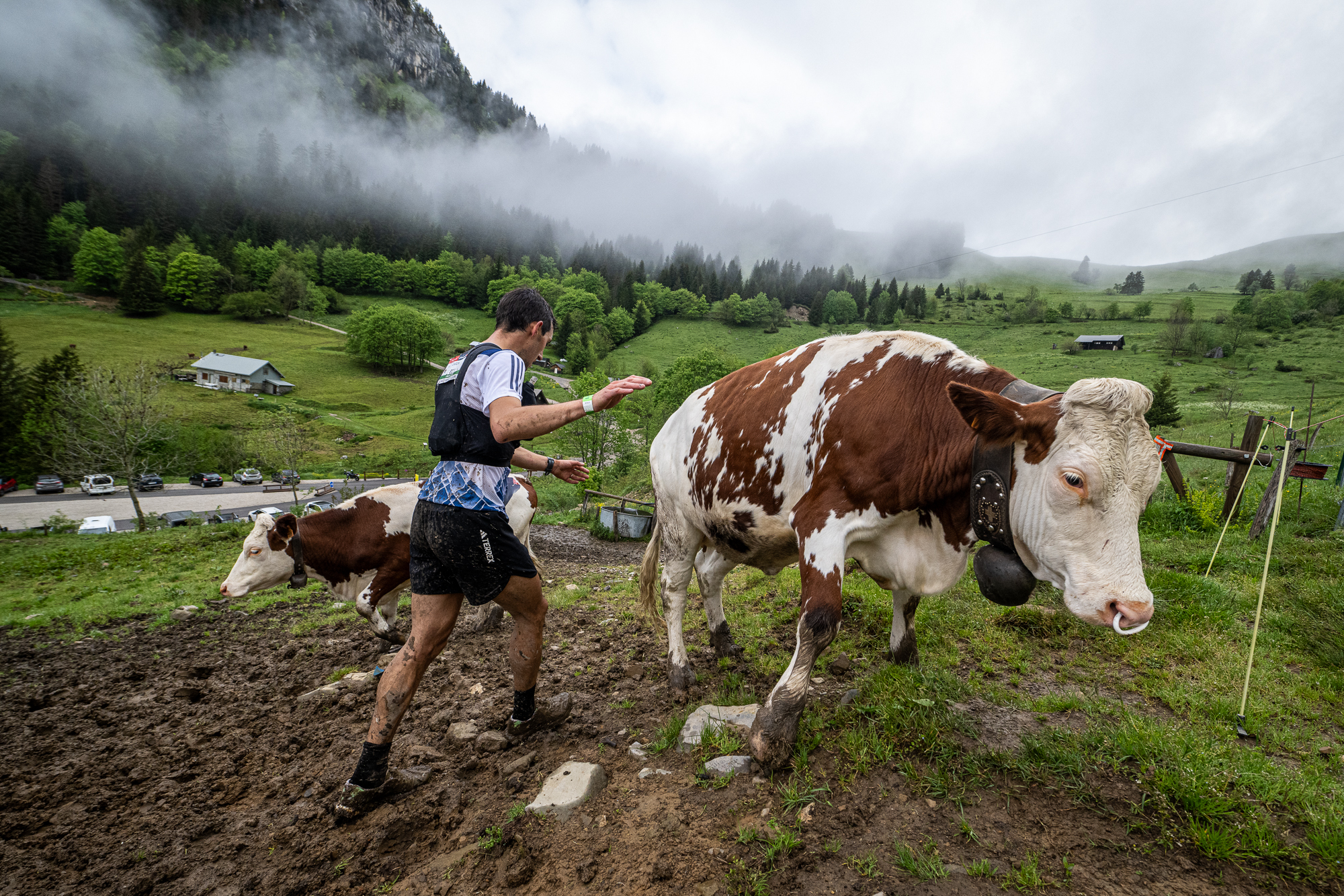 Contingencies of the Trailrunnig