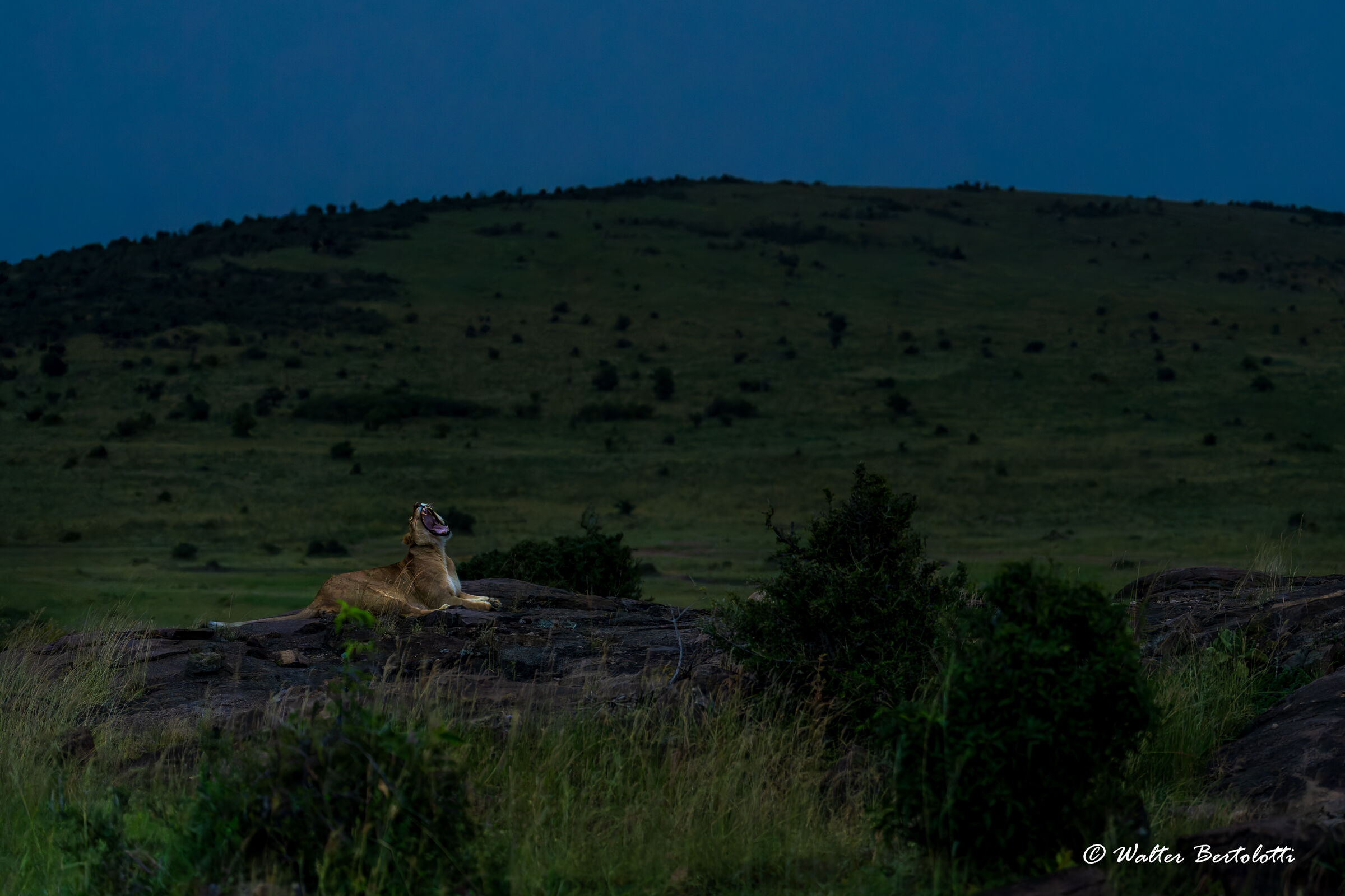 quel momento preima della sera