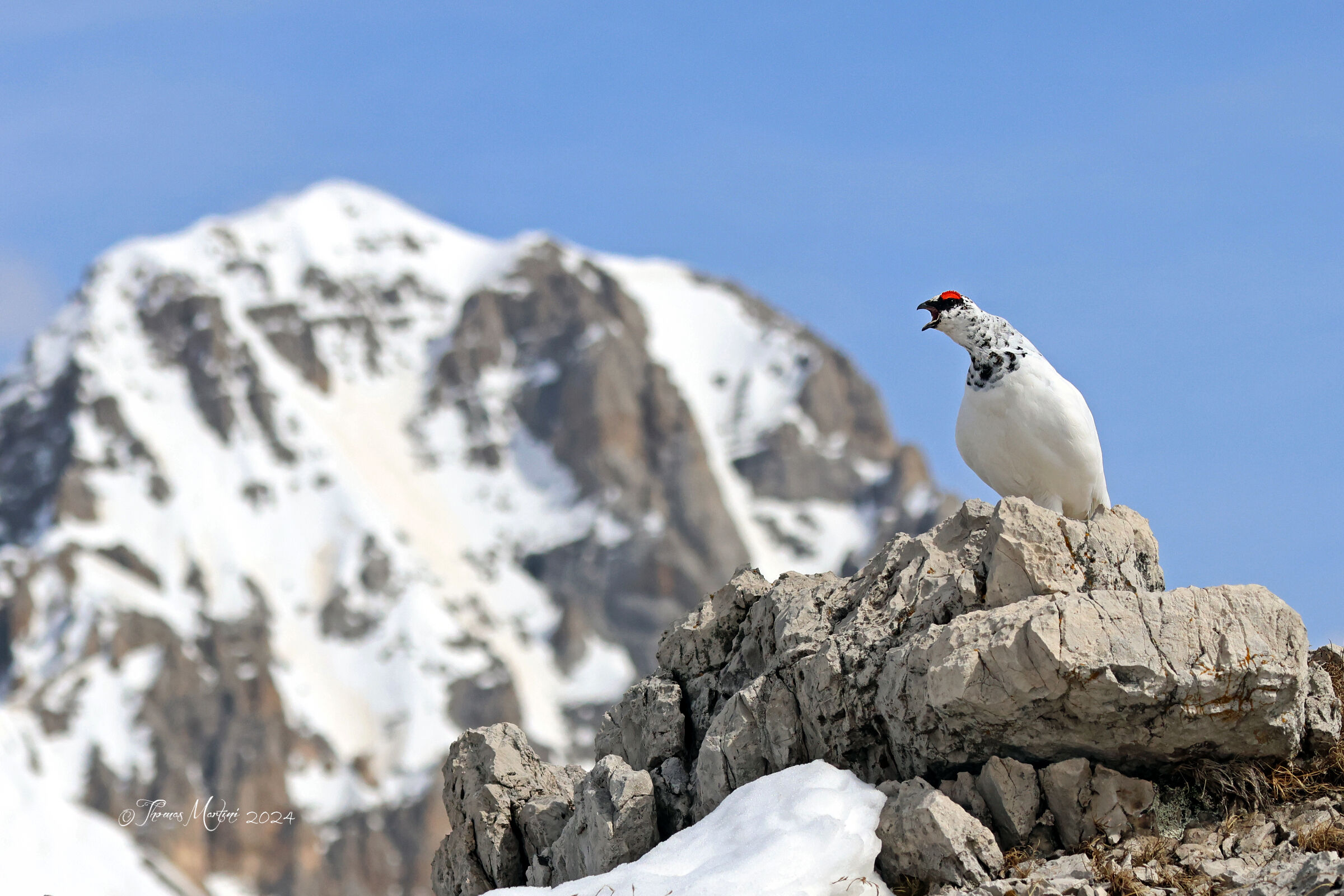 Lassù sulle montagne
