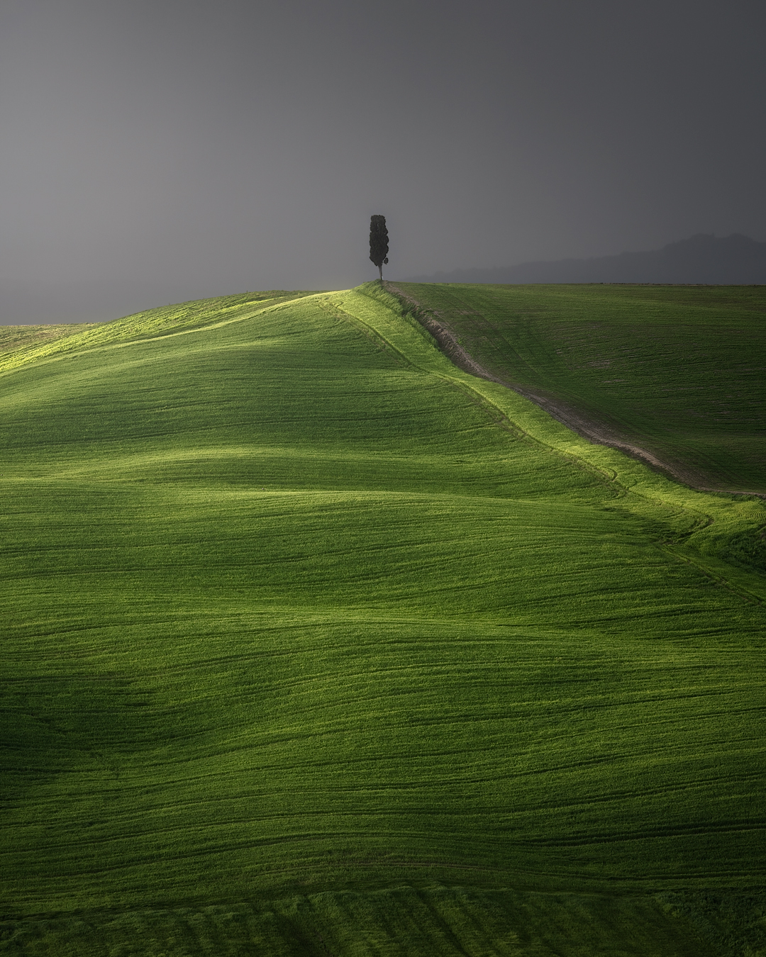 Green paradise