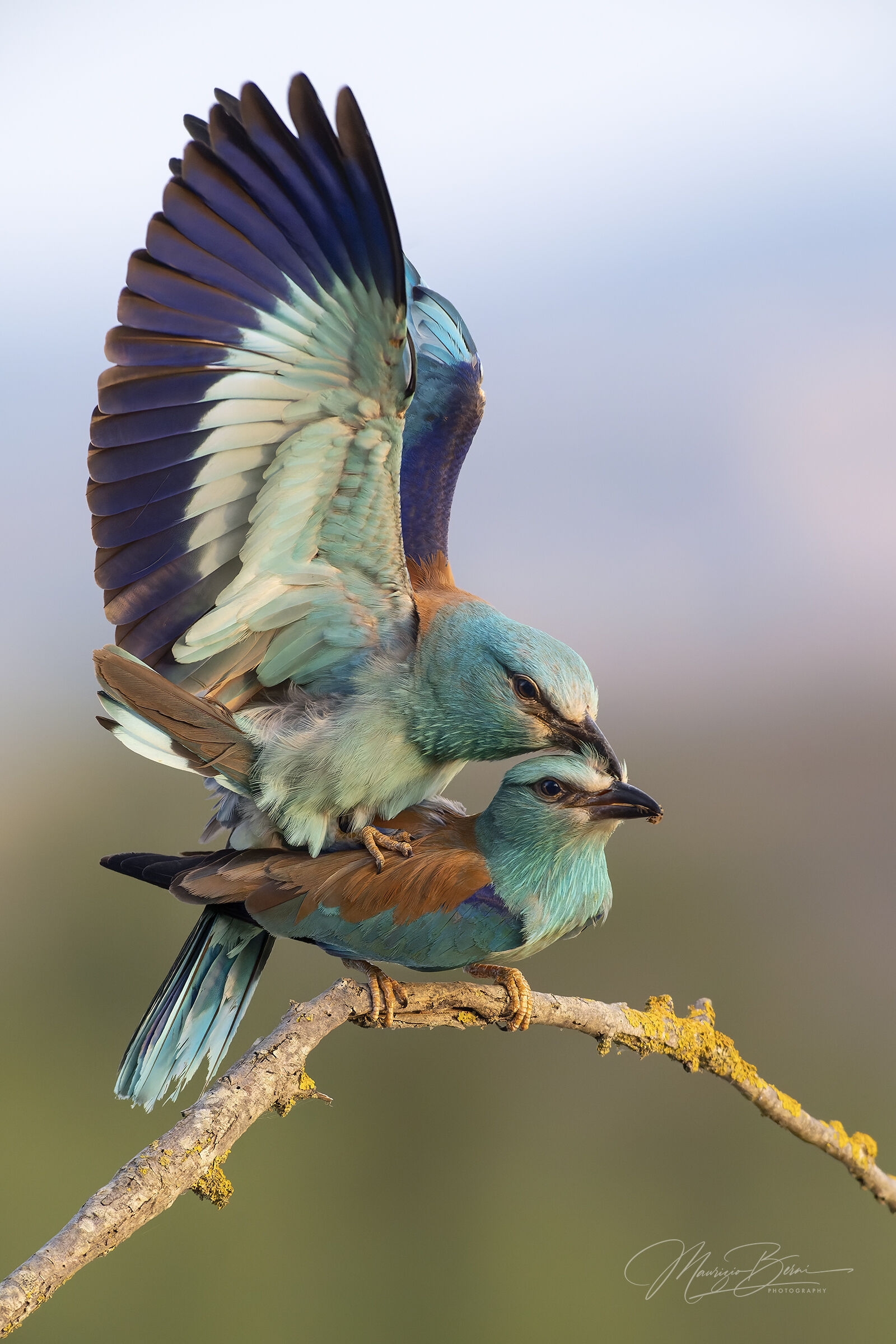 When there's love, it's a whole different story