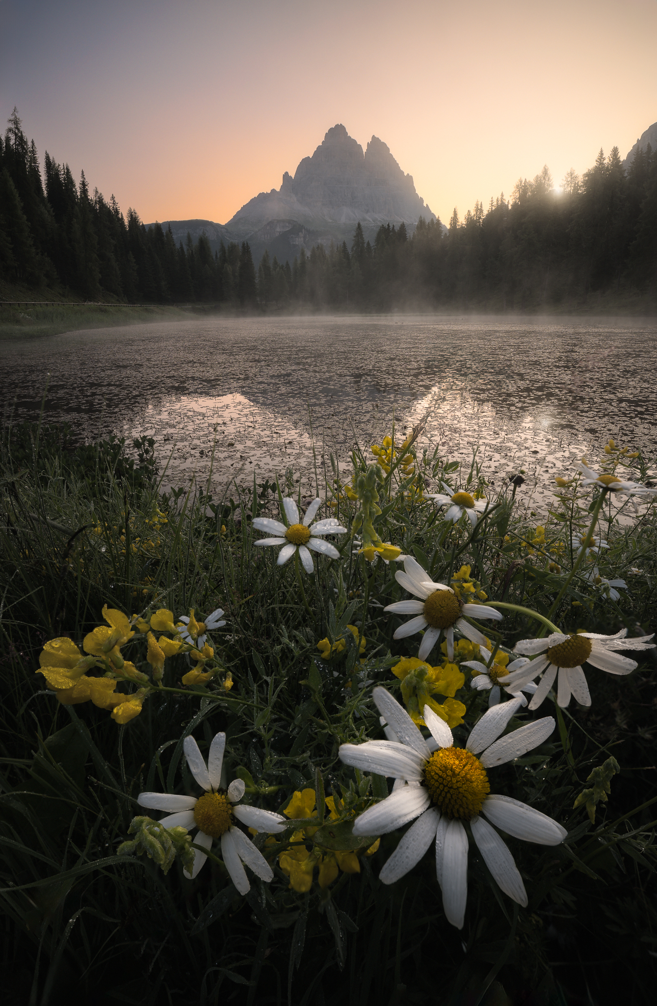 Primavera al lago d'Antorno