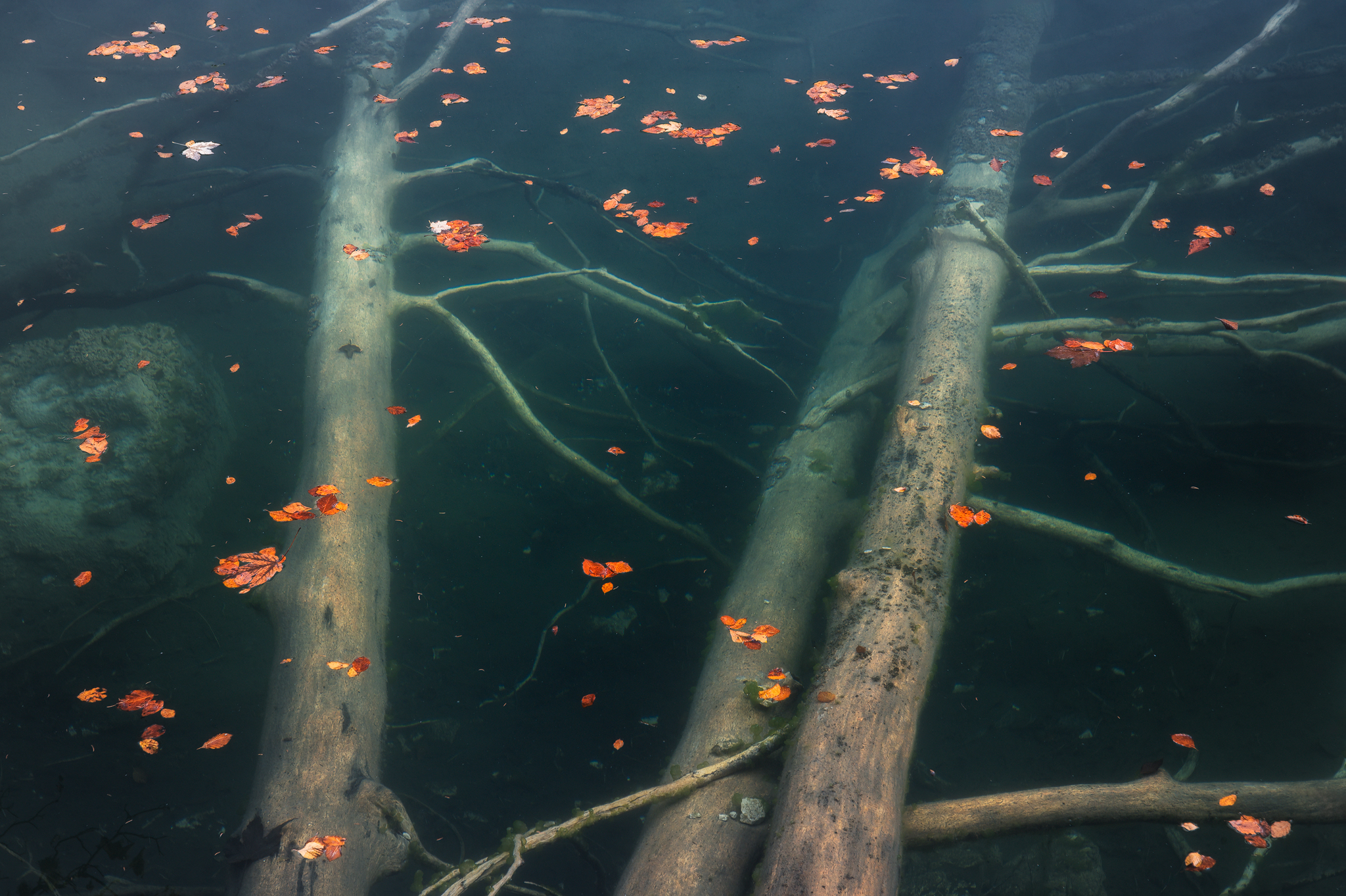Presente, passato e futuro