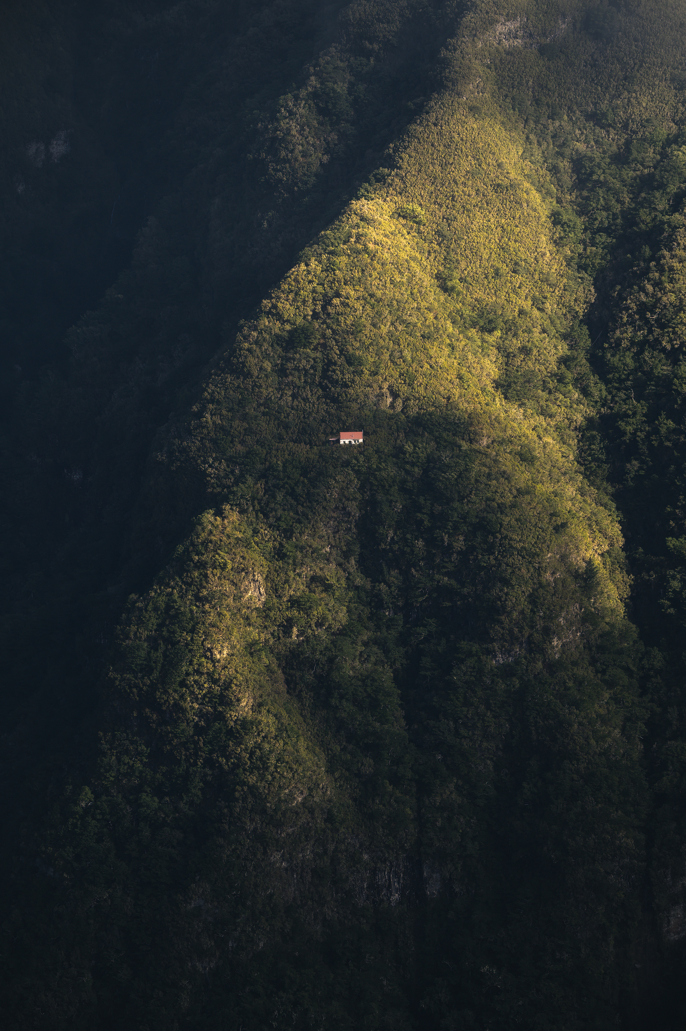 La casetta solitaria