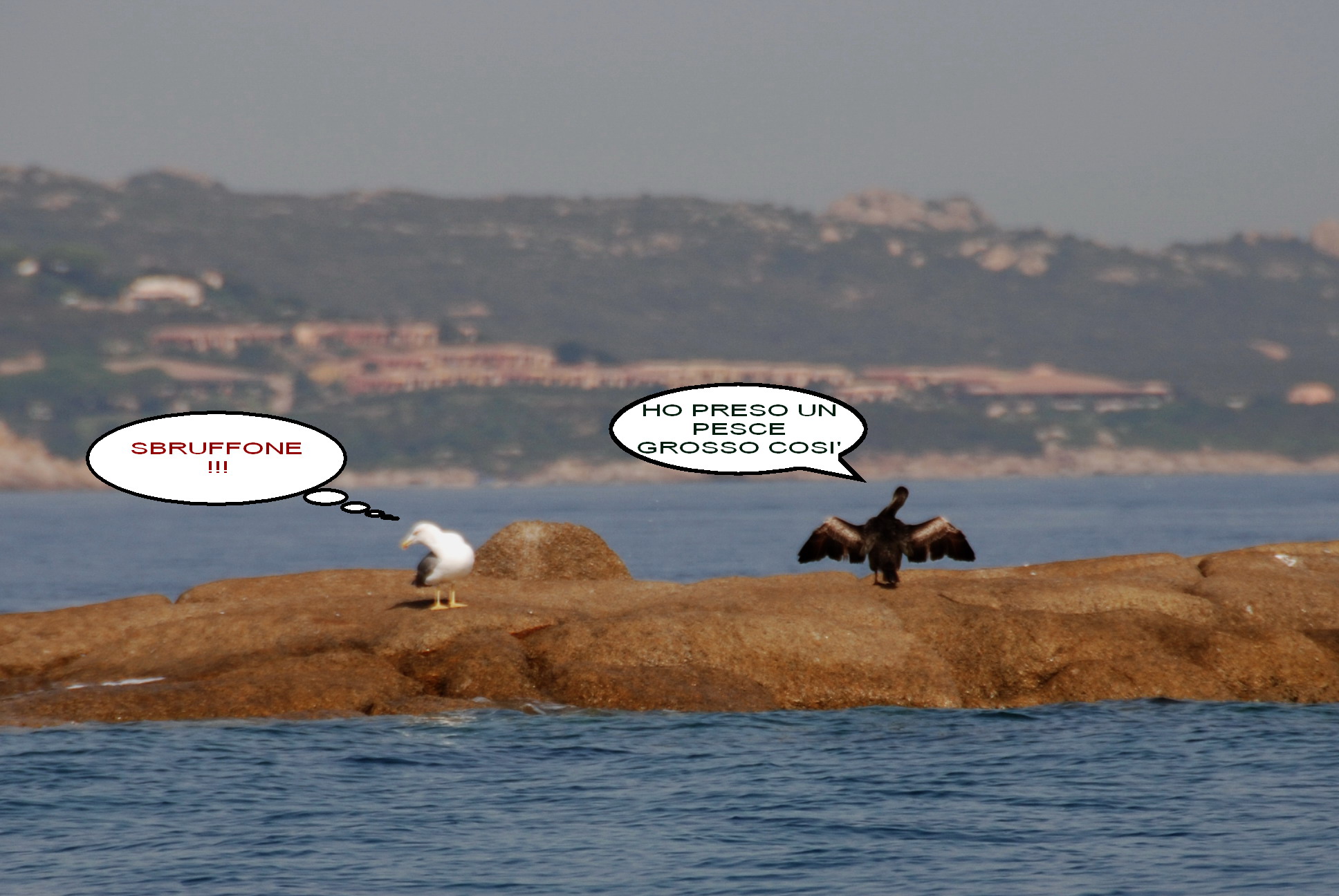 Fishing Club