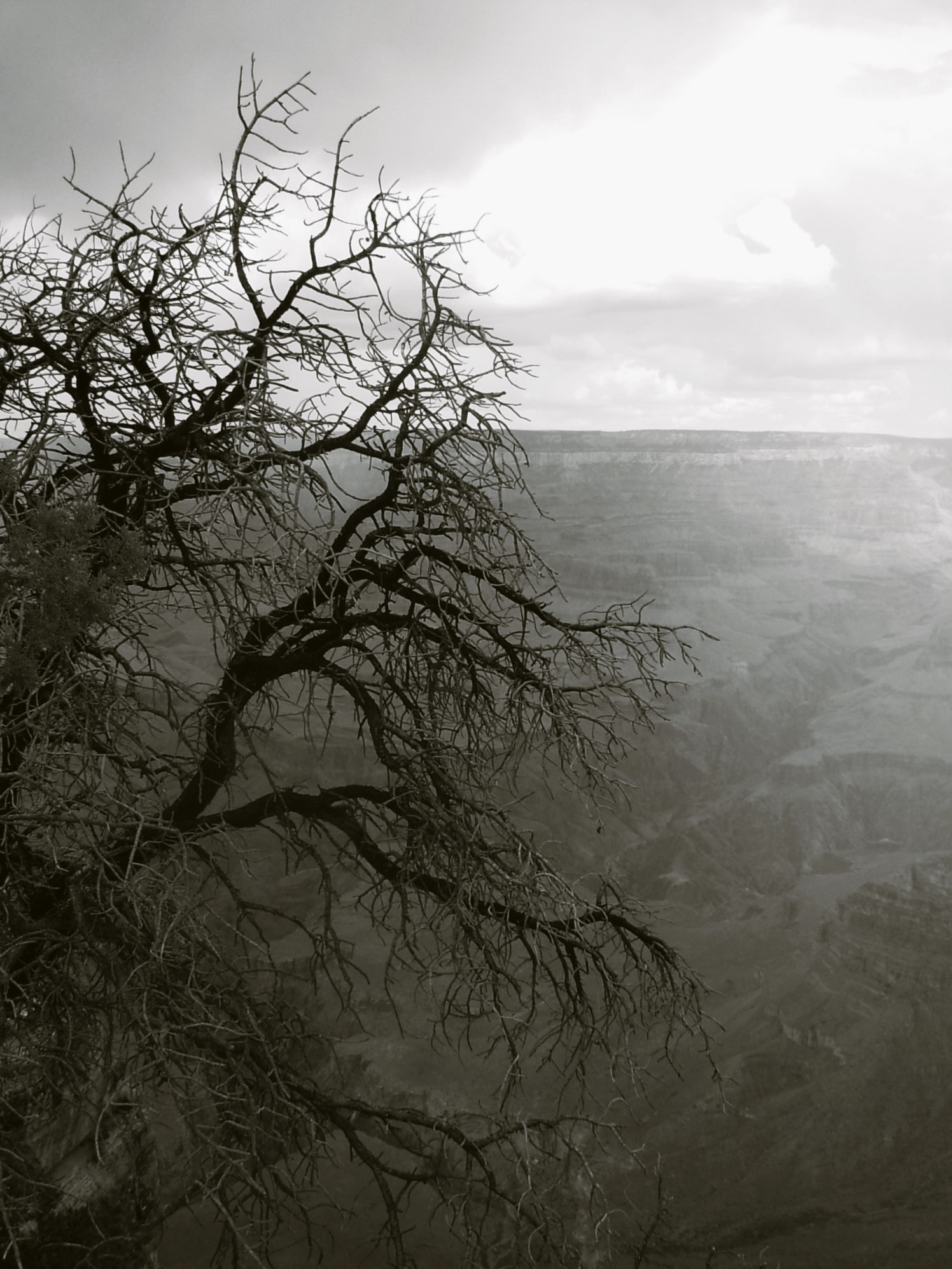 A different point of view