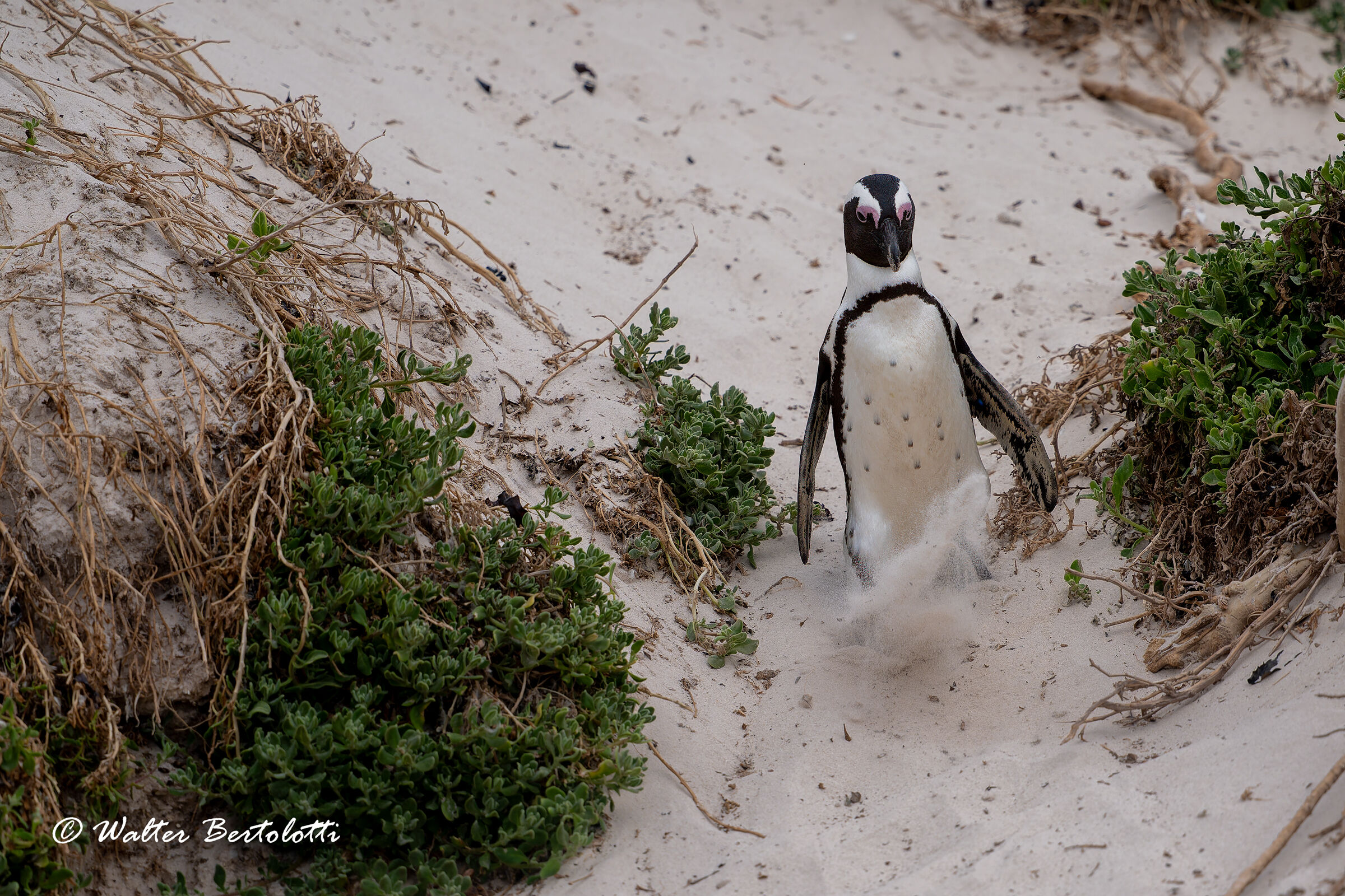 la discesa verso il mare