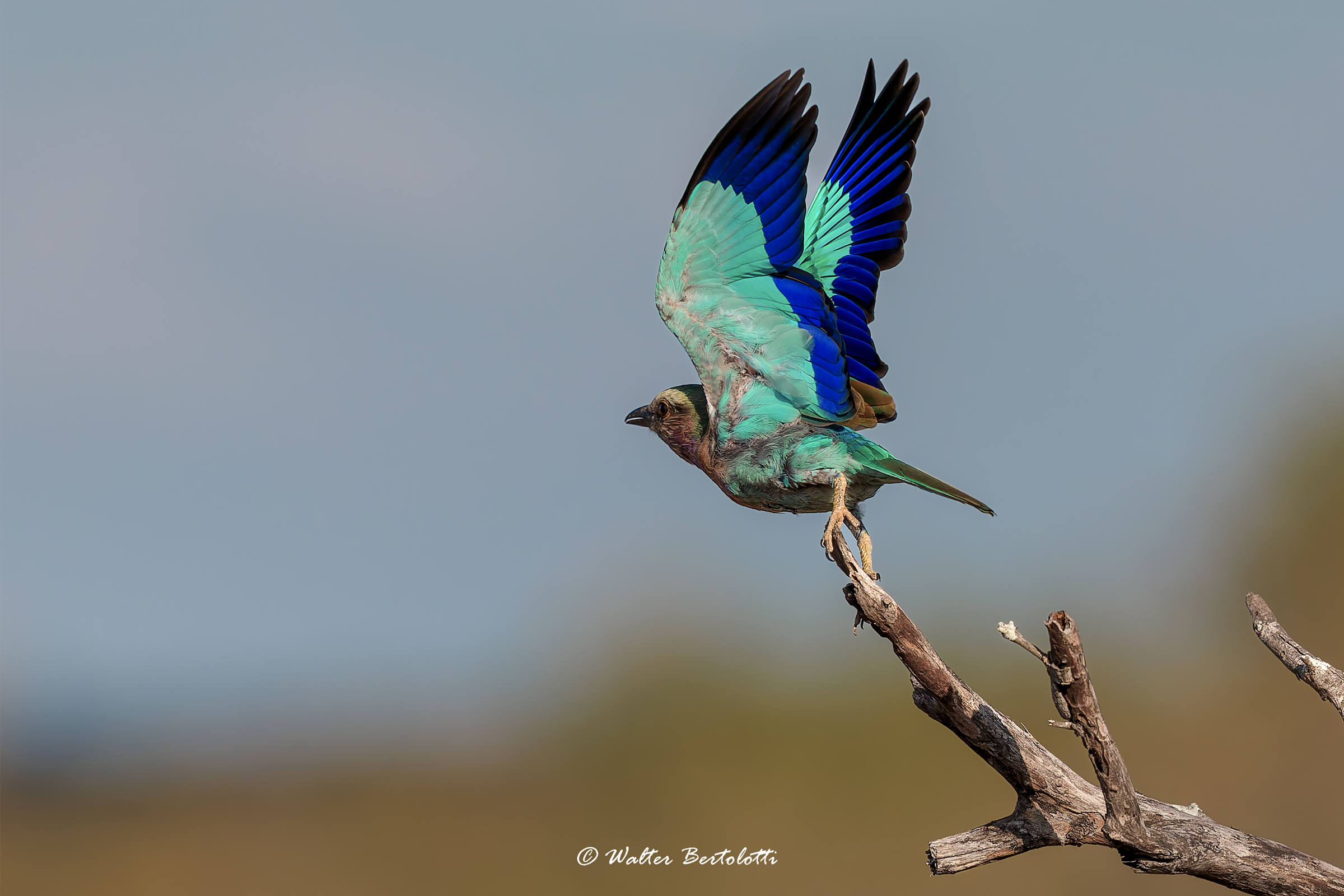 è tempo di andarsene