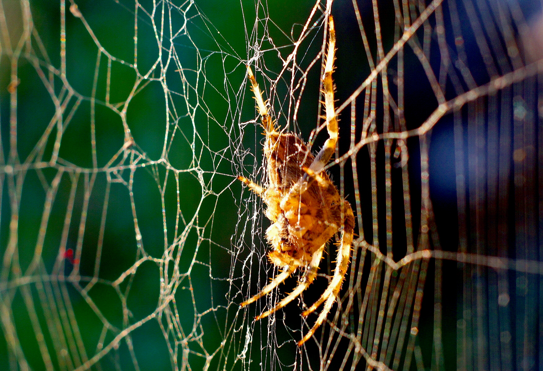 Dall'altra parte della barricata!