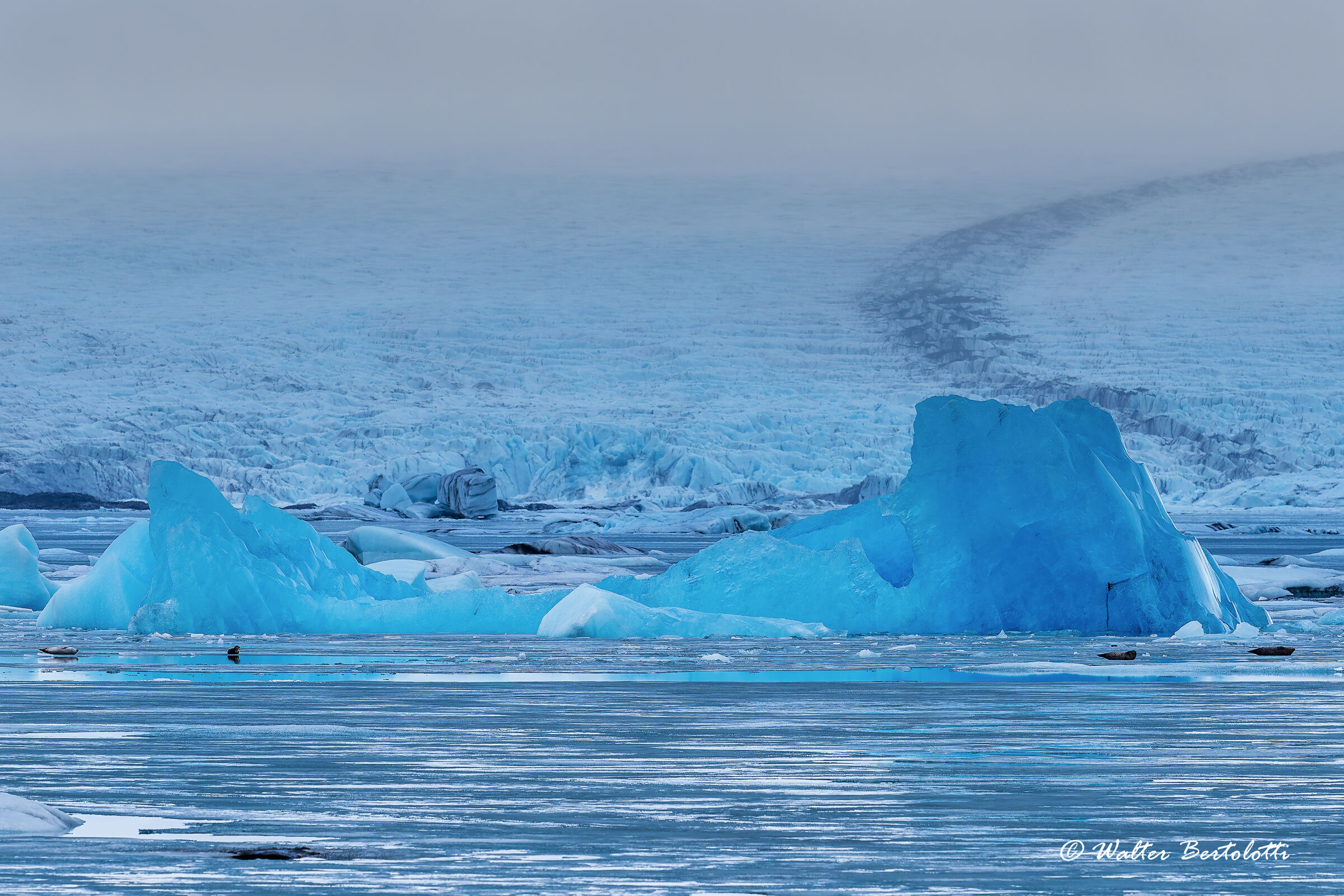 THE LAGOON OF JOKULSARLON