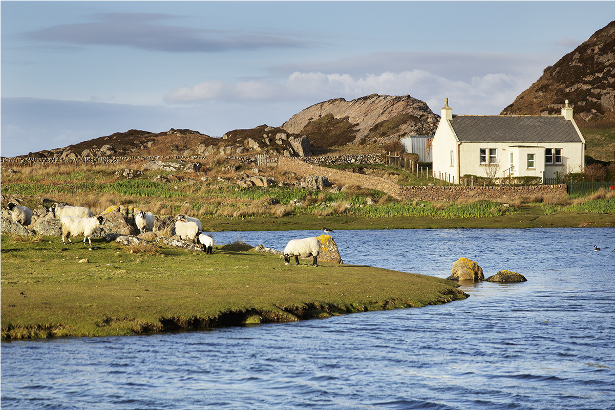 Isle of Mull: Kintra