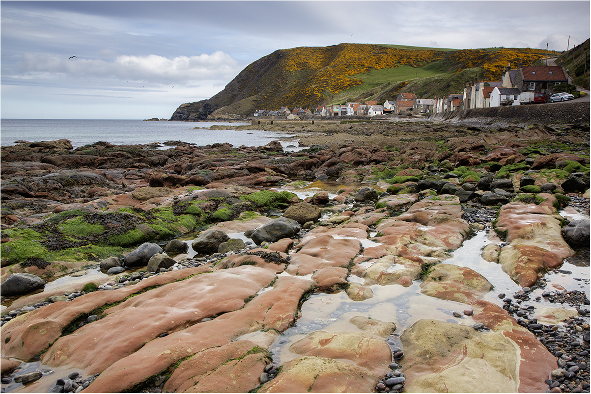 Crovie