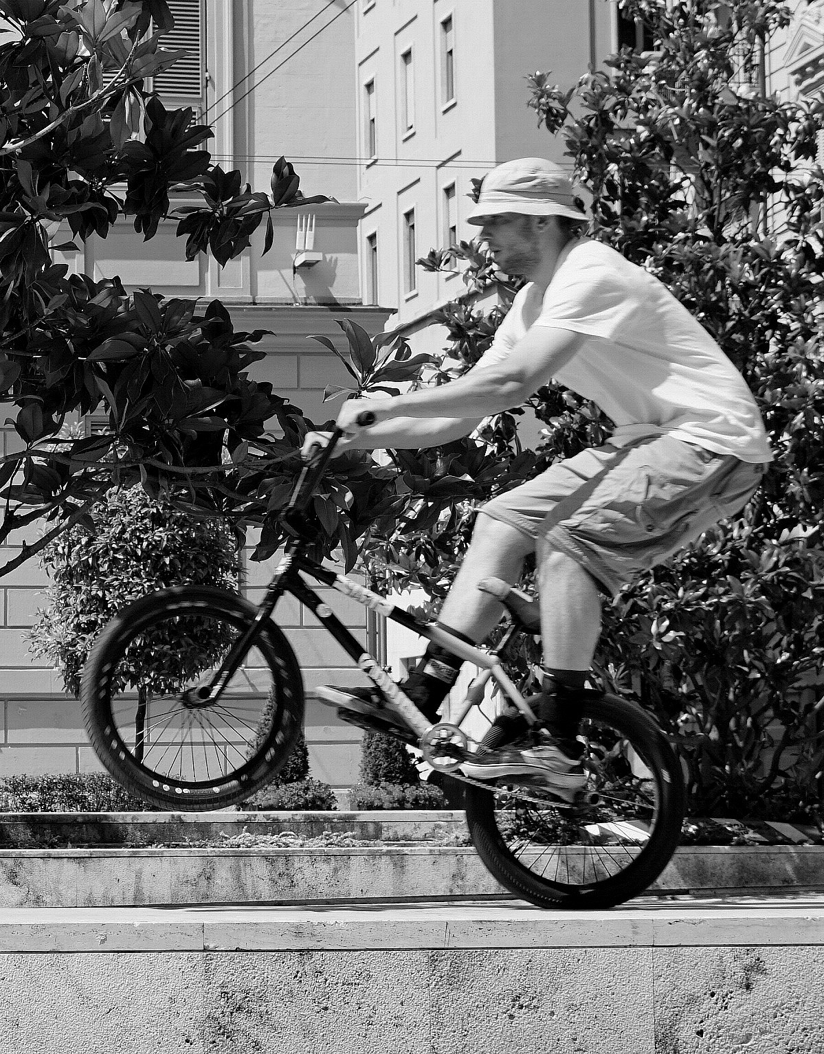 L'apparenza inganna!