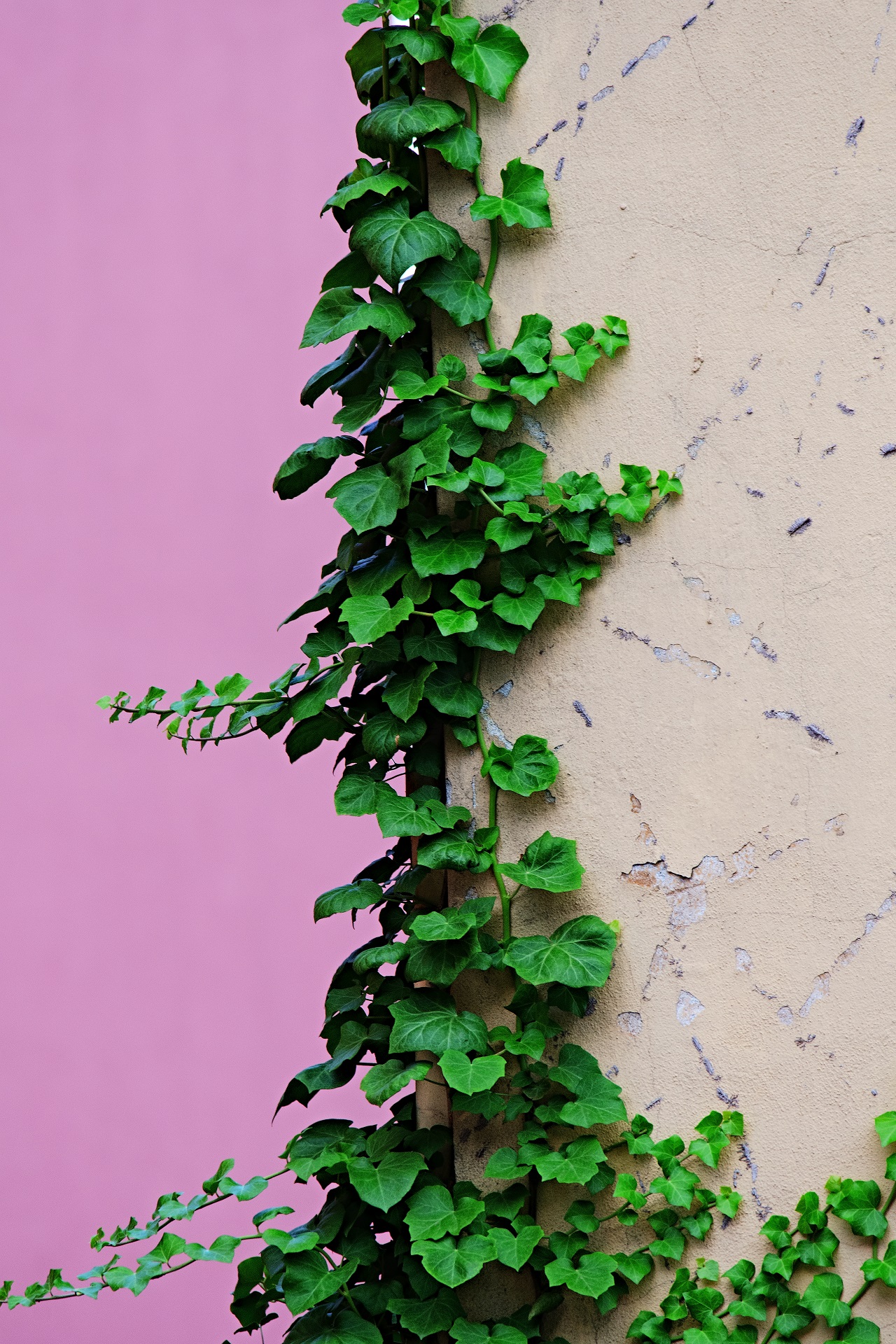 A Slightly Different Macro