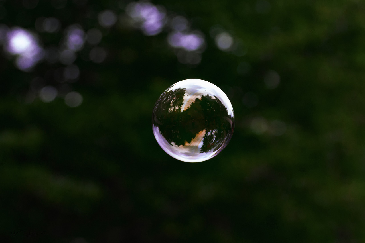 Pffffffffff... e vola via...