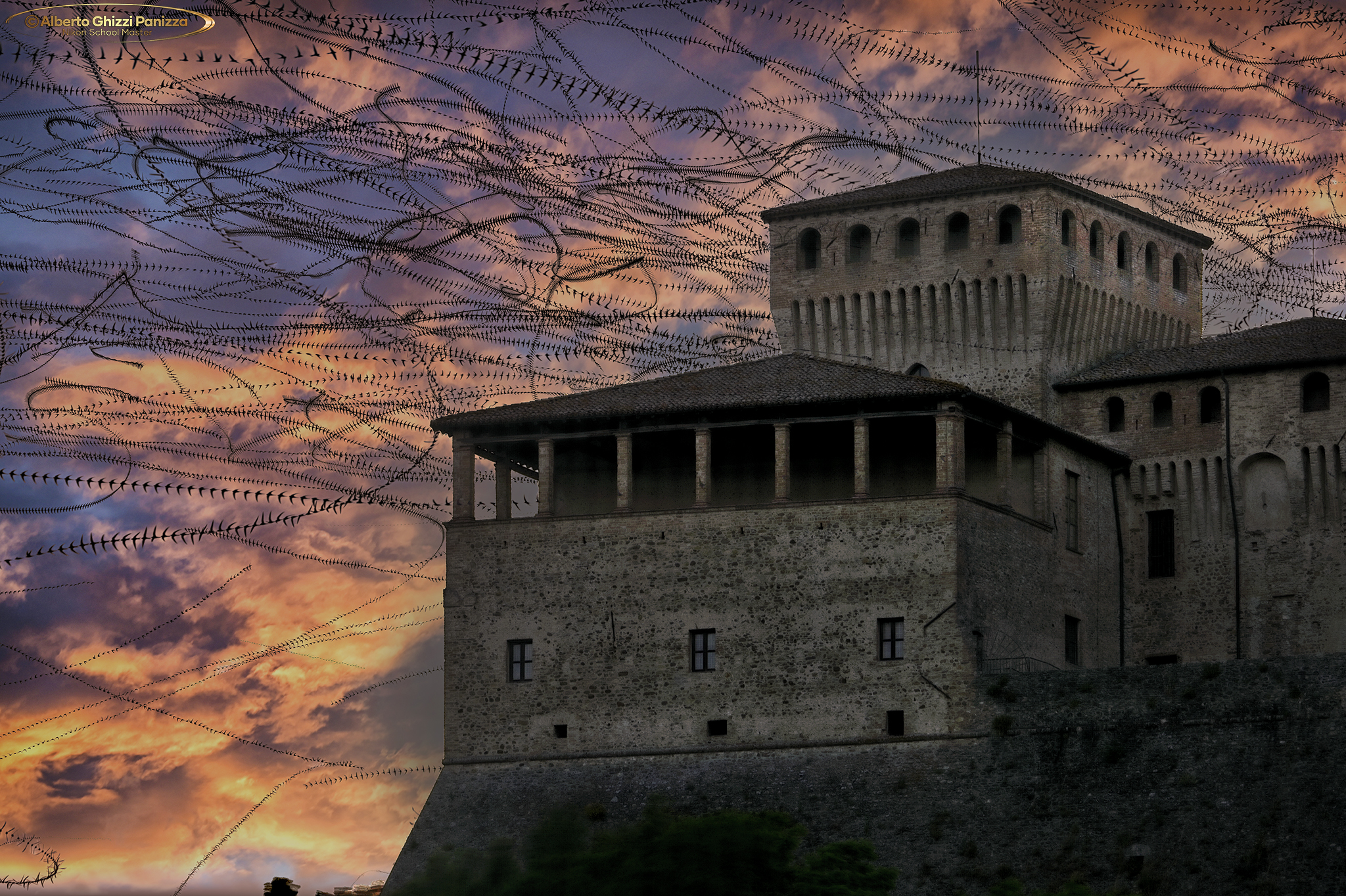 Tracciati di rondini a Torrechiara