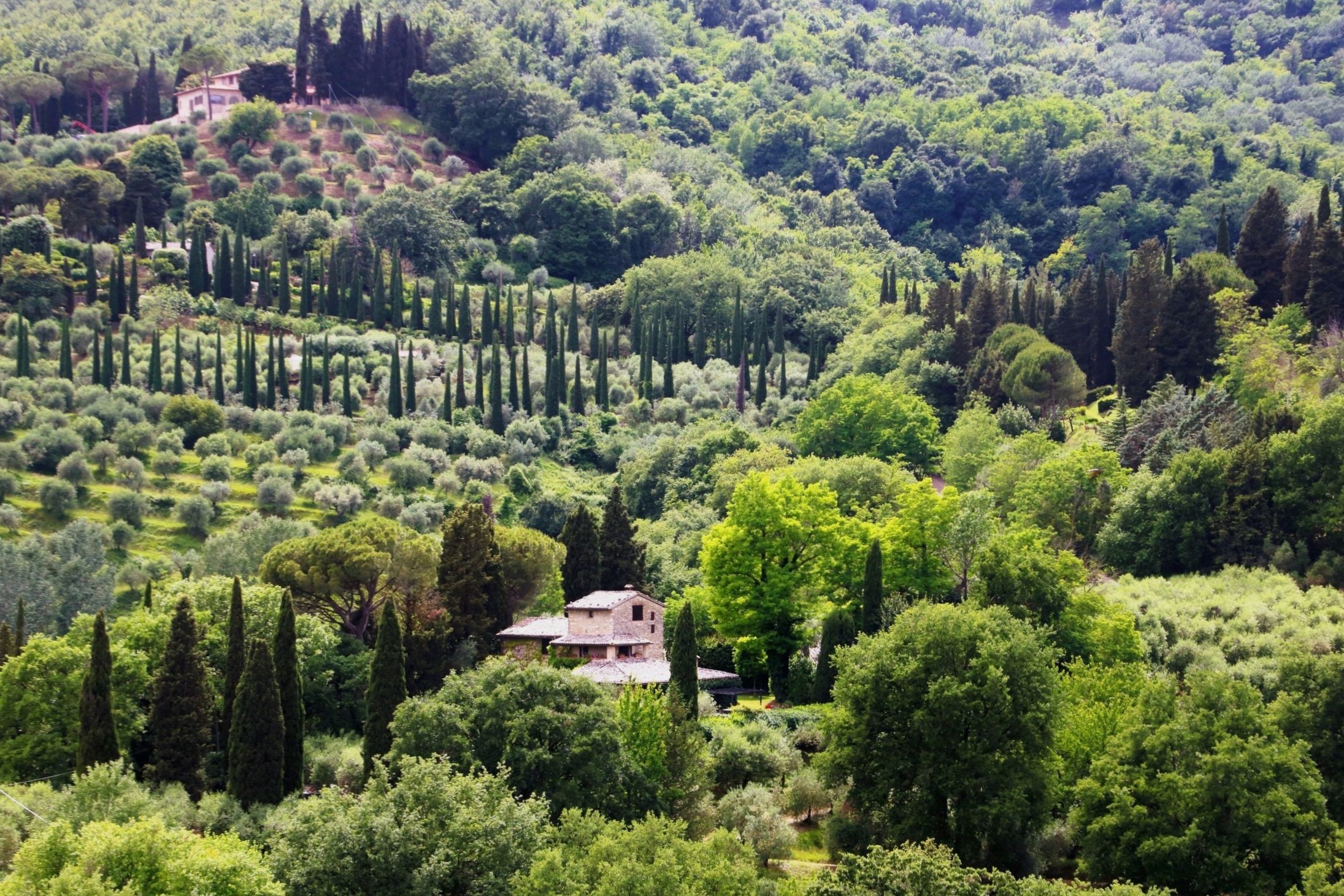 Nient'altro che verde