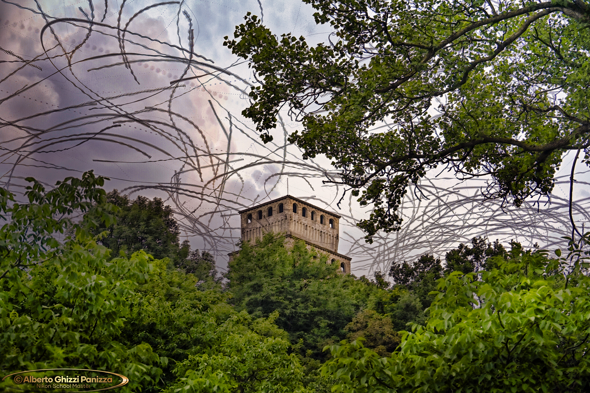 Scie rondini a Torrechiara #3