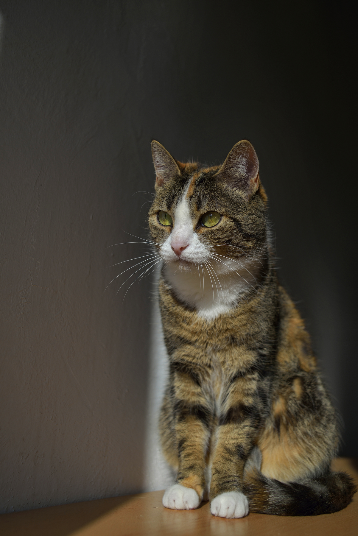 Elena
