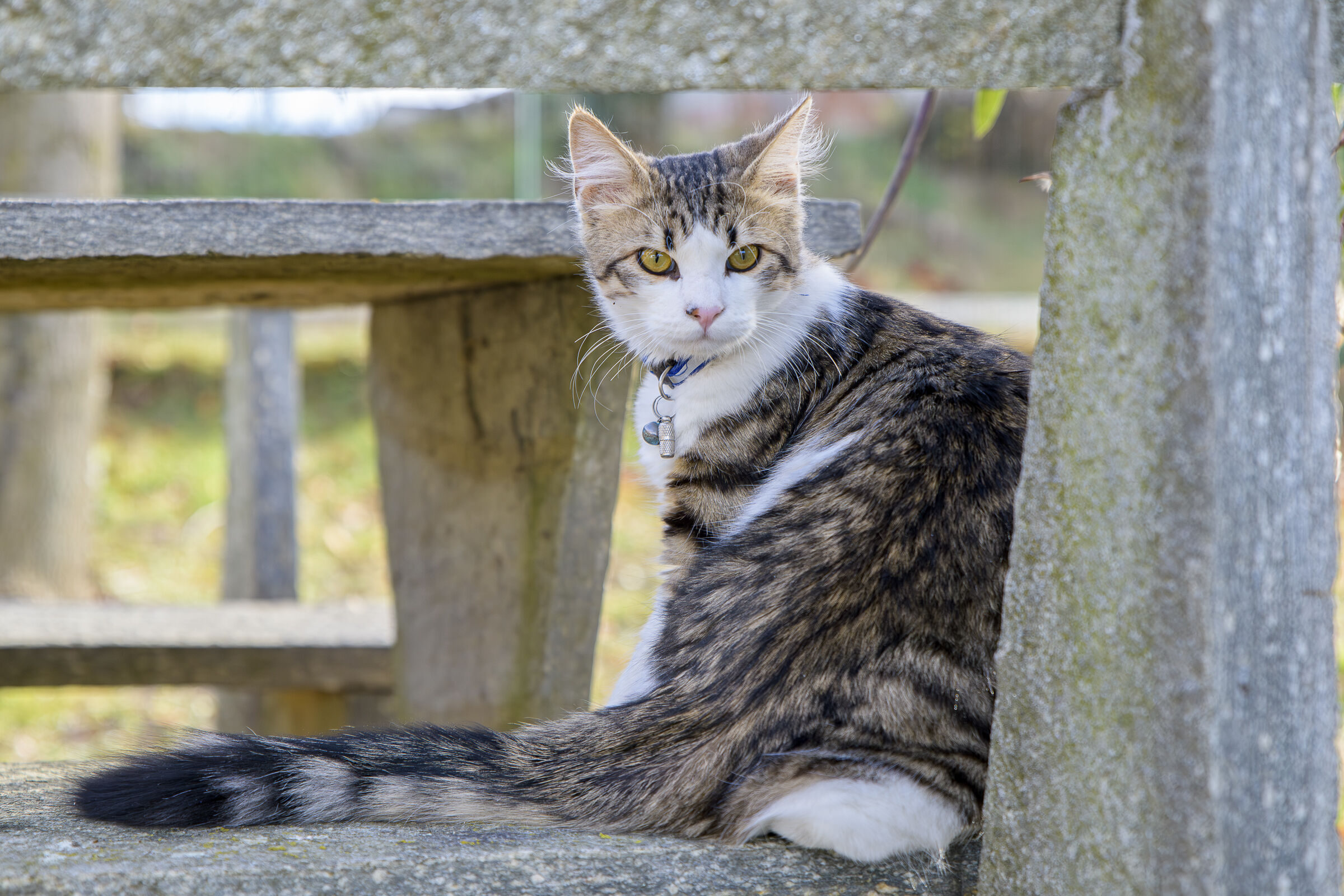 Non doveva andare così!
