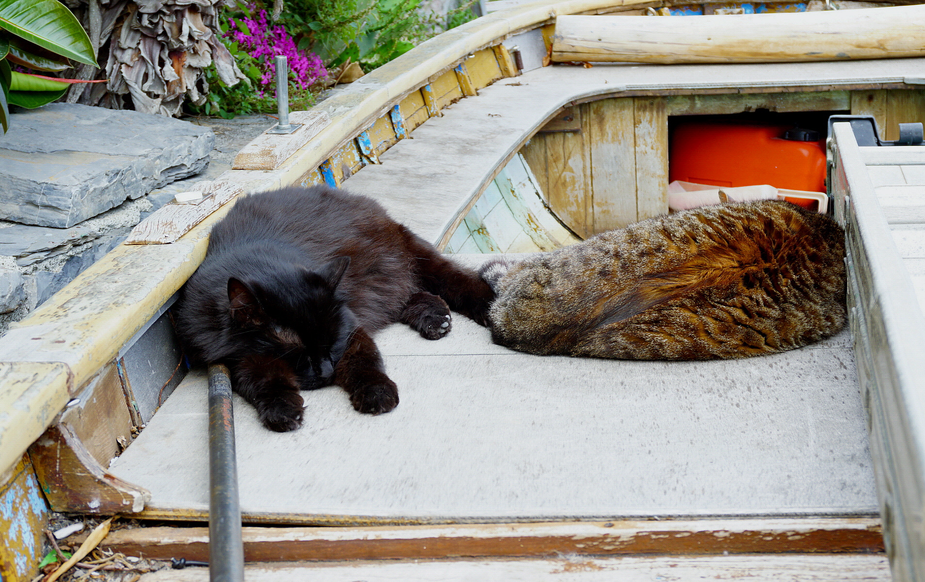 After fishing from the fishermen!!