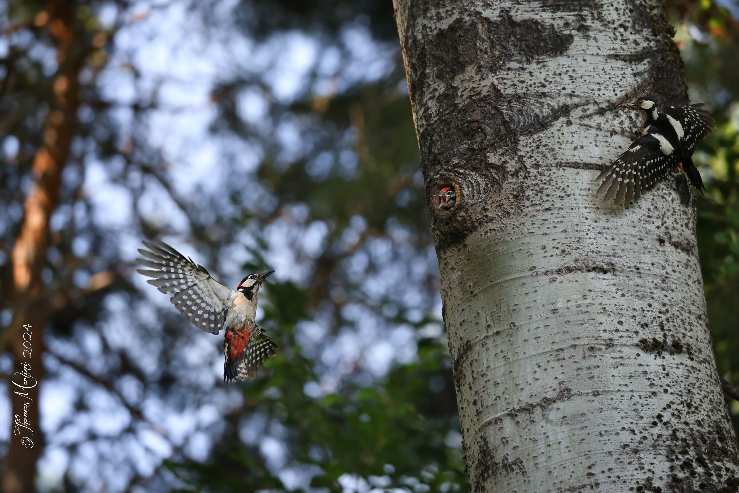 Famiglia "Rossi" al completo
