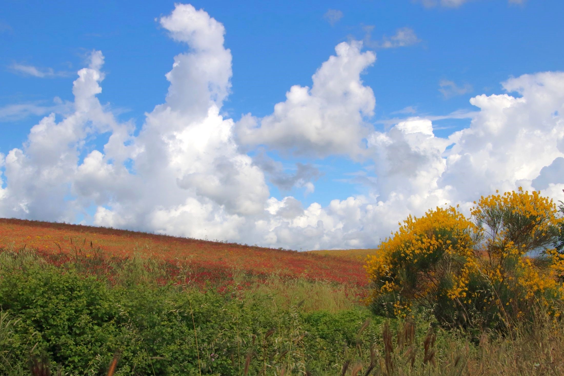 Nuvole in val d'Orcia